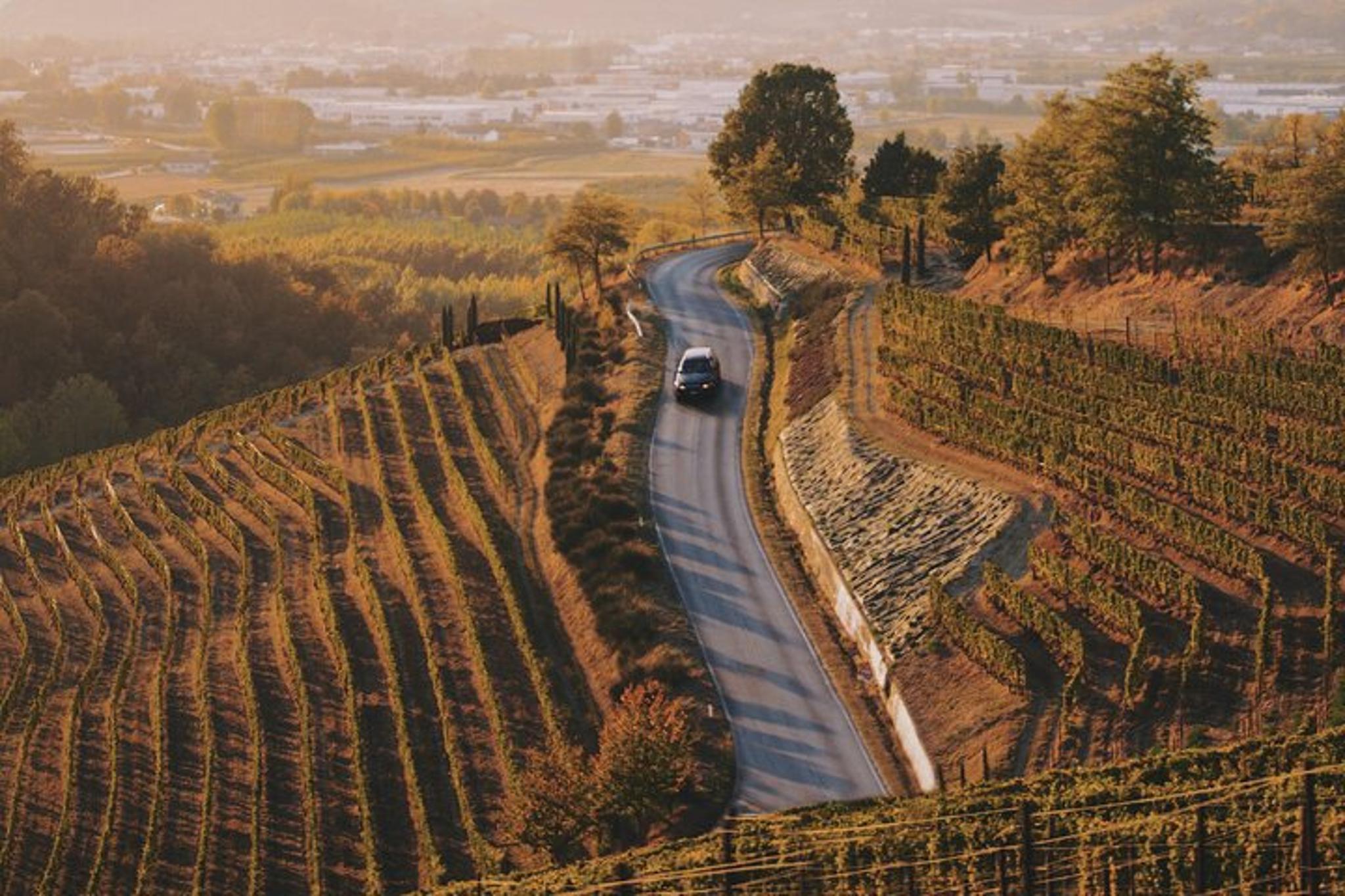 Napa or Sonoma Valley Private SUV Wine Tour - Image 2