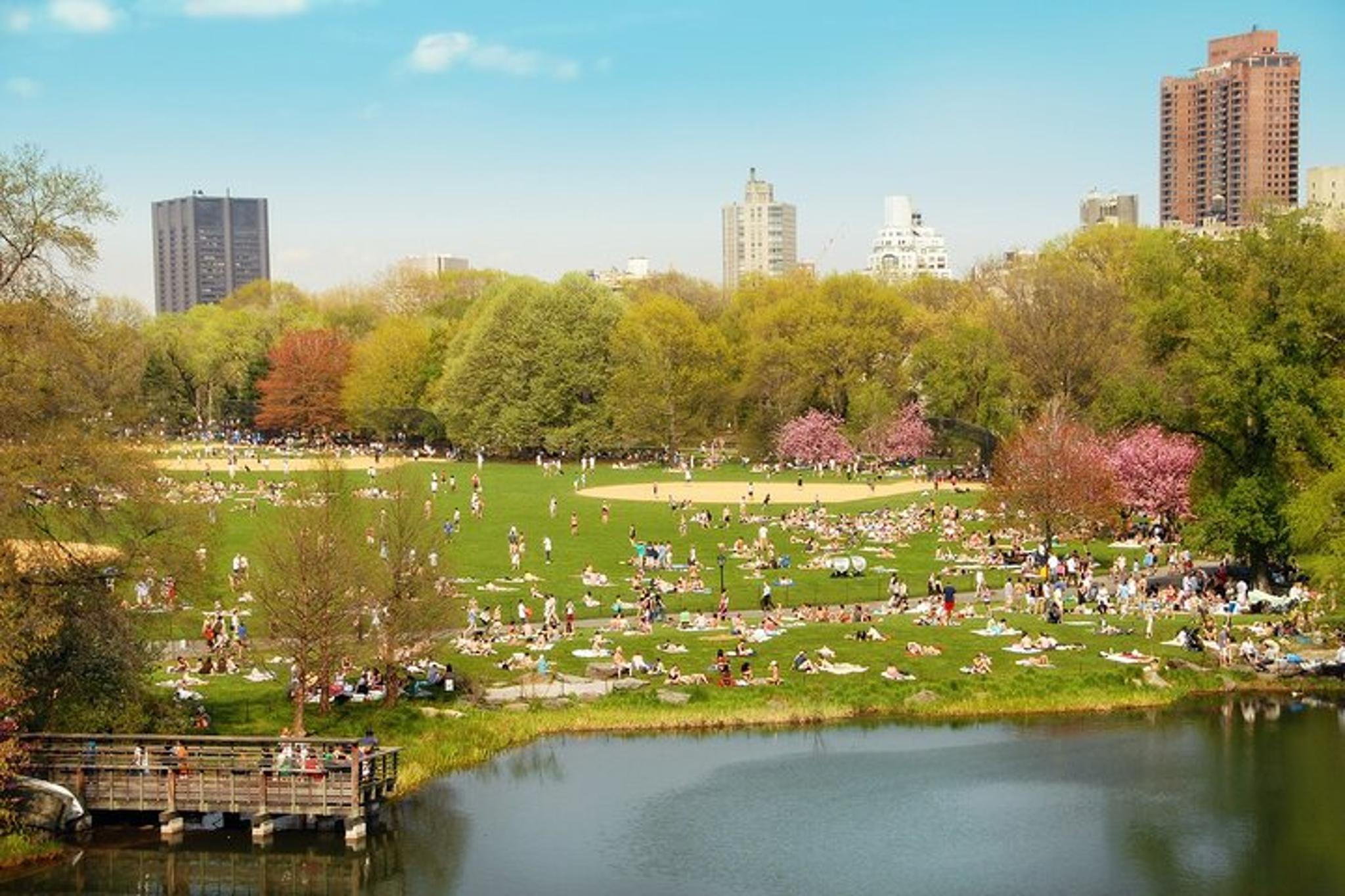 New York Central Park Outdoor Escape Adventure - Image 3