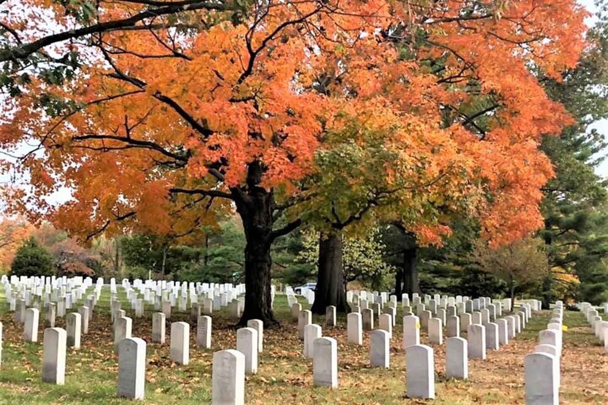 Arlington National Cemetery Walking Tour - Image 3