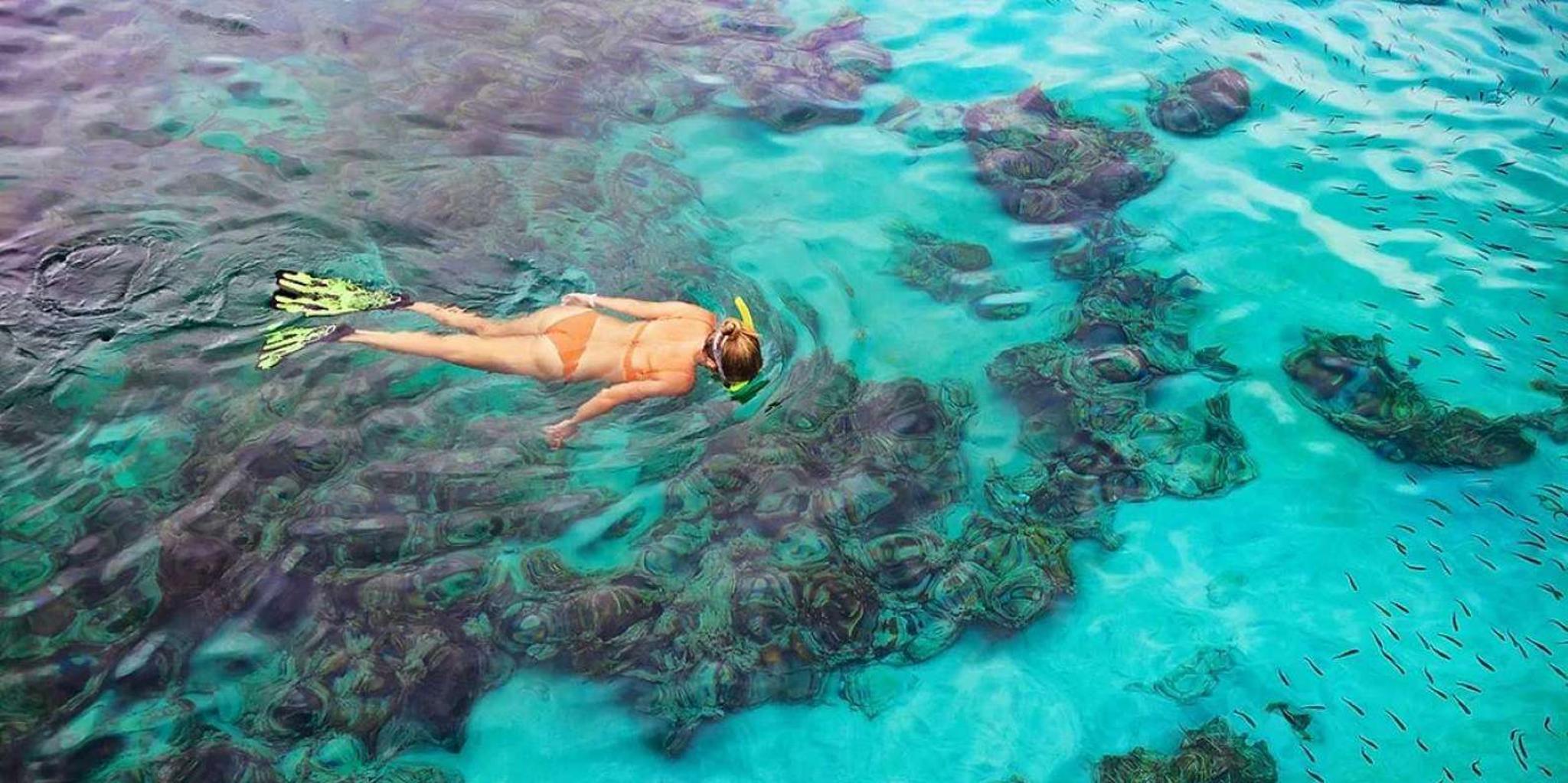 Kailua-Kona Manta Ray Snorkel Tour - Image 3