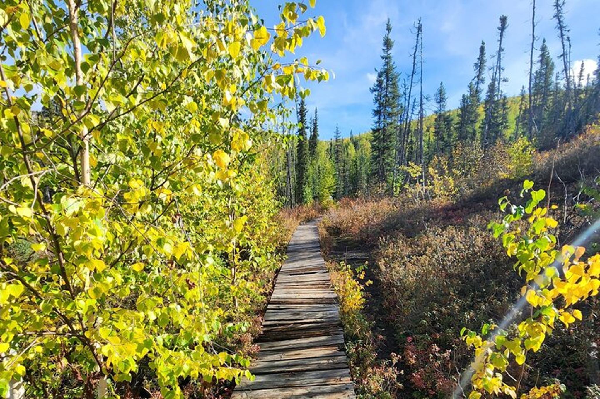 Fairbanks Angel Rocks Hike and Chena Hot Springs Tour - Image 4