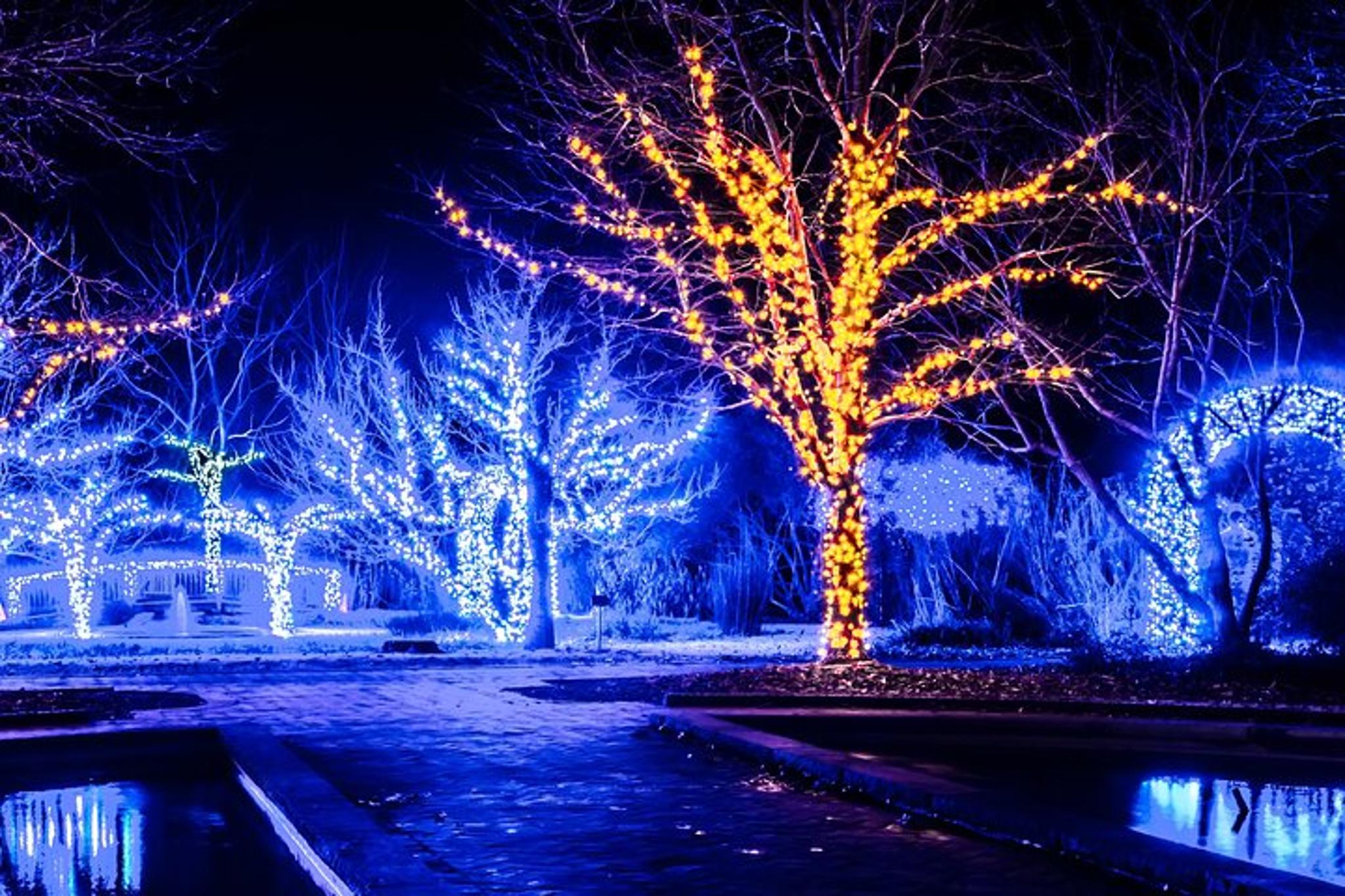 Cookeville Christmas Lights Tour in RoadStallion - Image 5