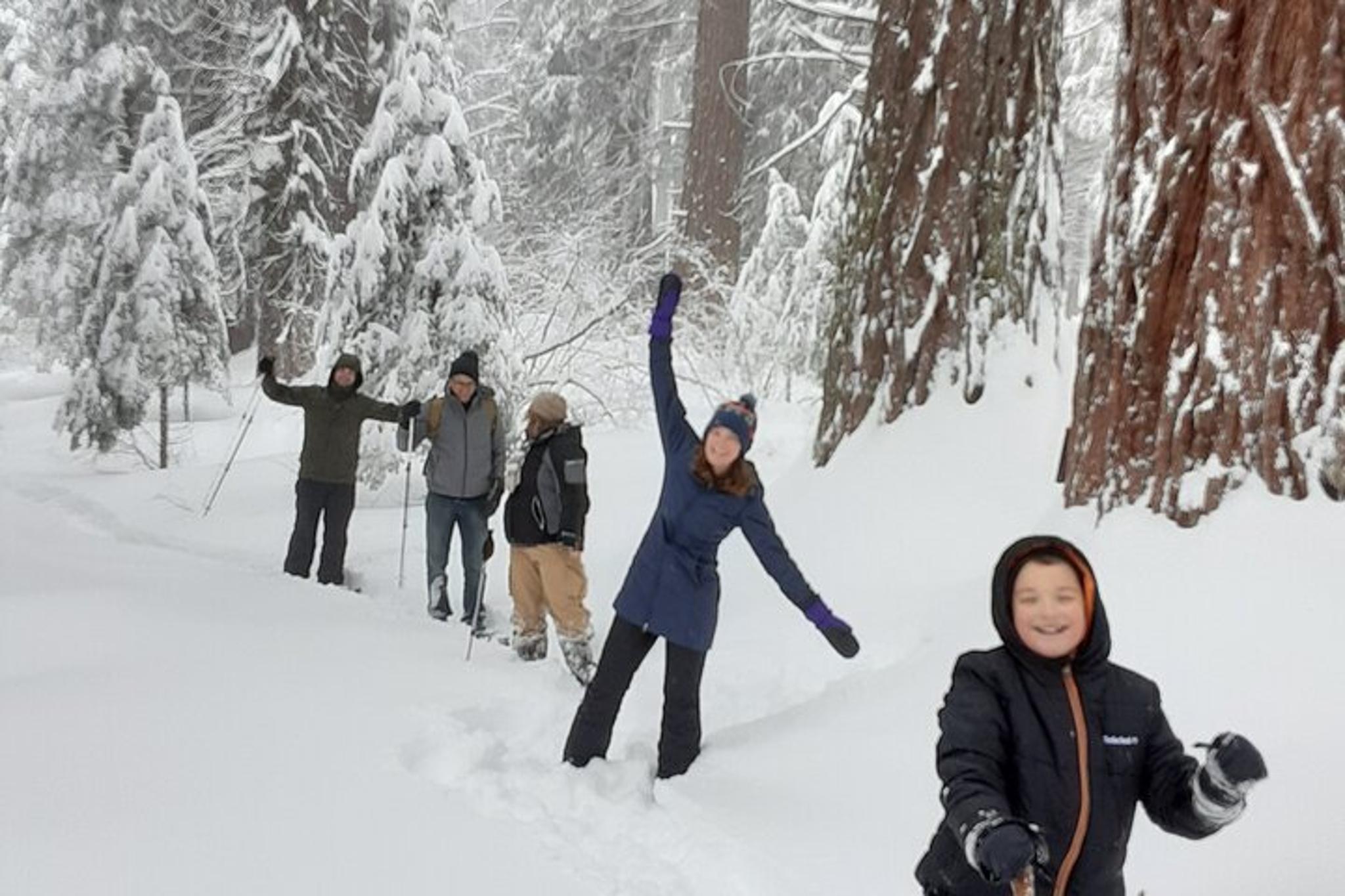 Sequoia National Park Snowshoe Adventure - Image 6