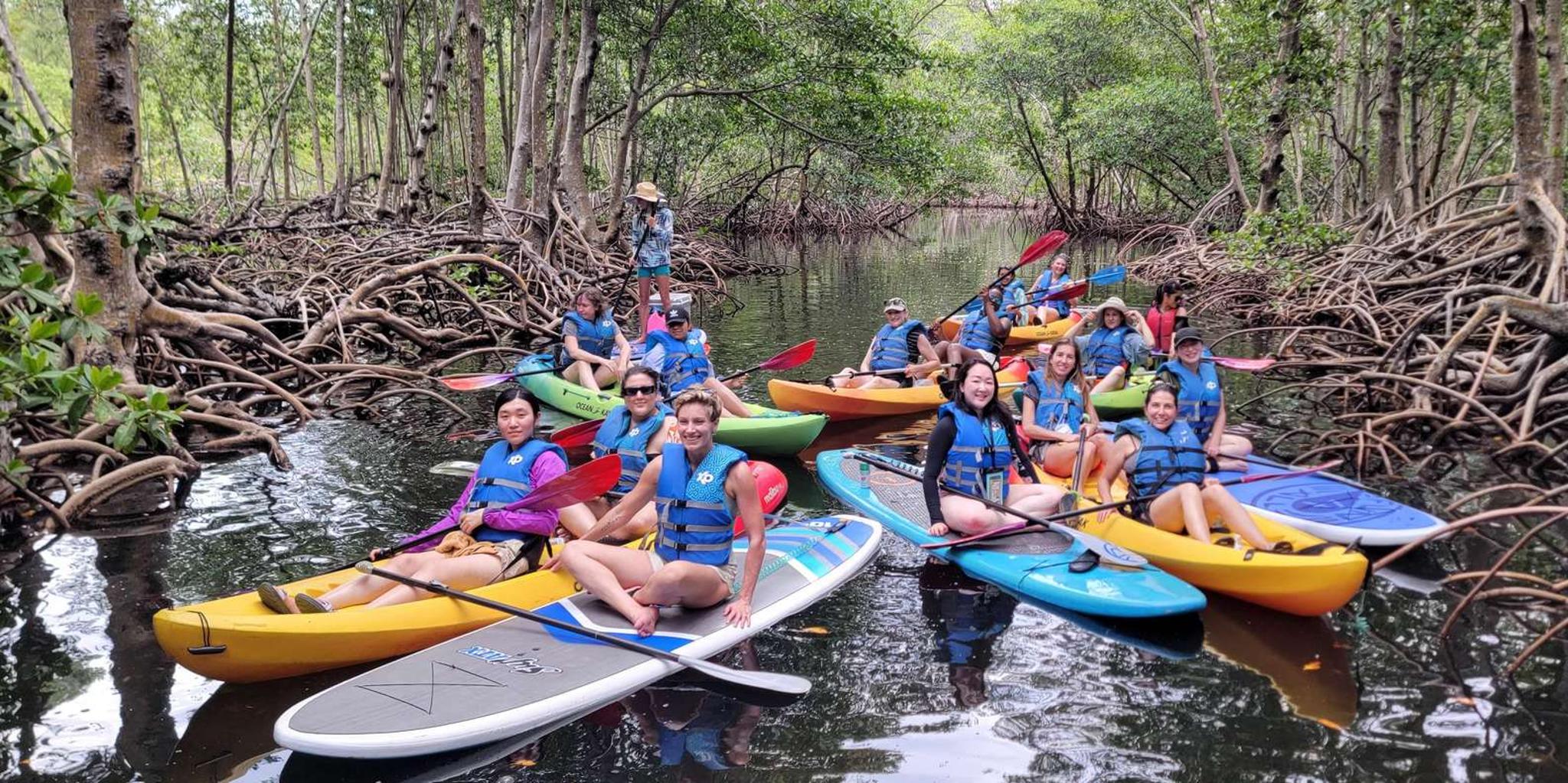 Miami Biscayne Bay Kayak and Boat Tour - Image 6