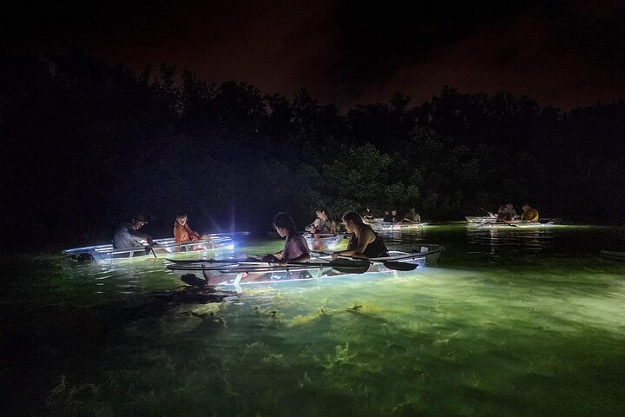 Siesta Key Clear Kayak LED Night Tour 75 Min - Image 2