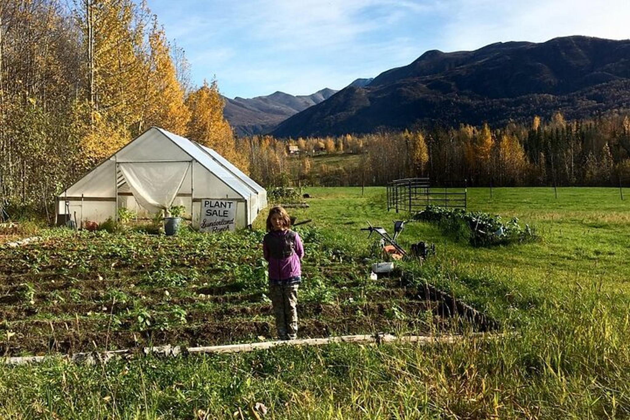 Anchorage Trail Ride and Homestead Tour - Image 6