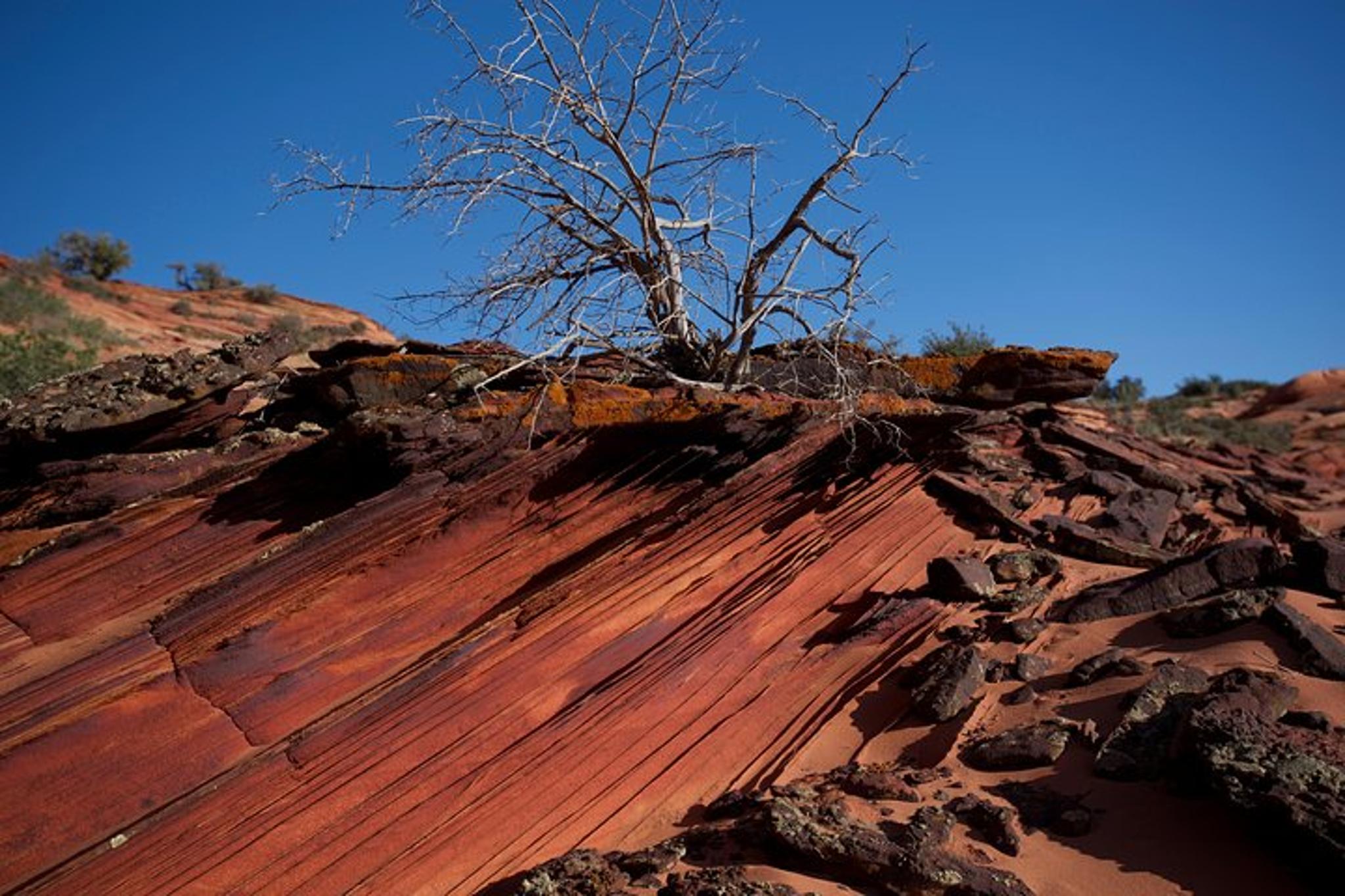 Kanab Wire Pass Slot Canyon Hiking Tour - Image 3