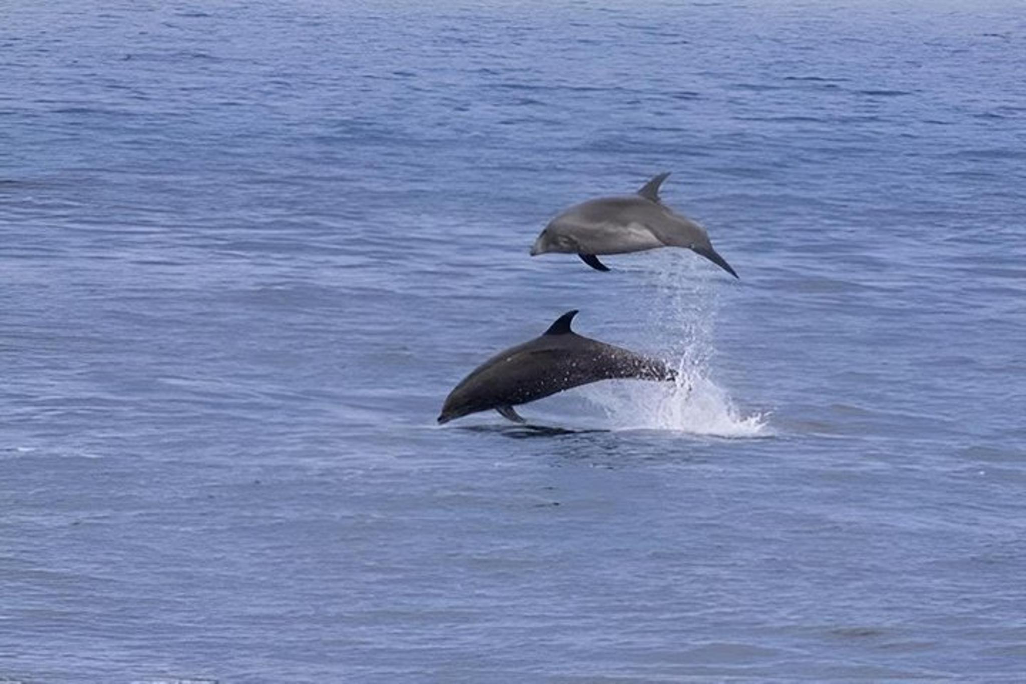 San Diego Bay to Ocean Bike Tour - Image 6