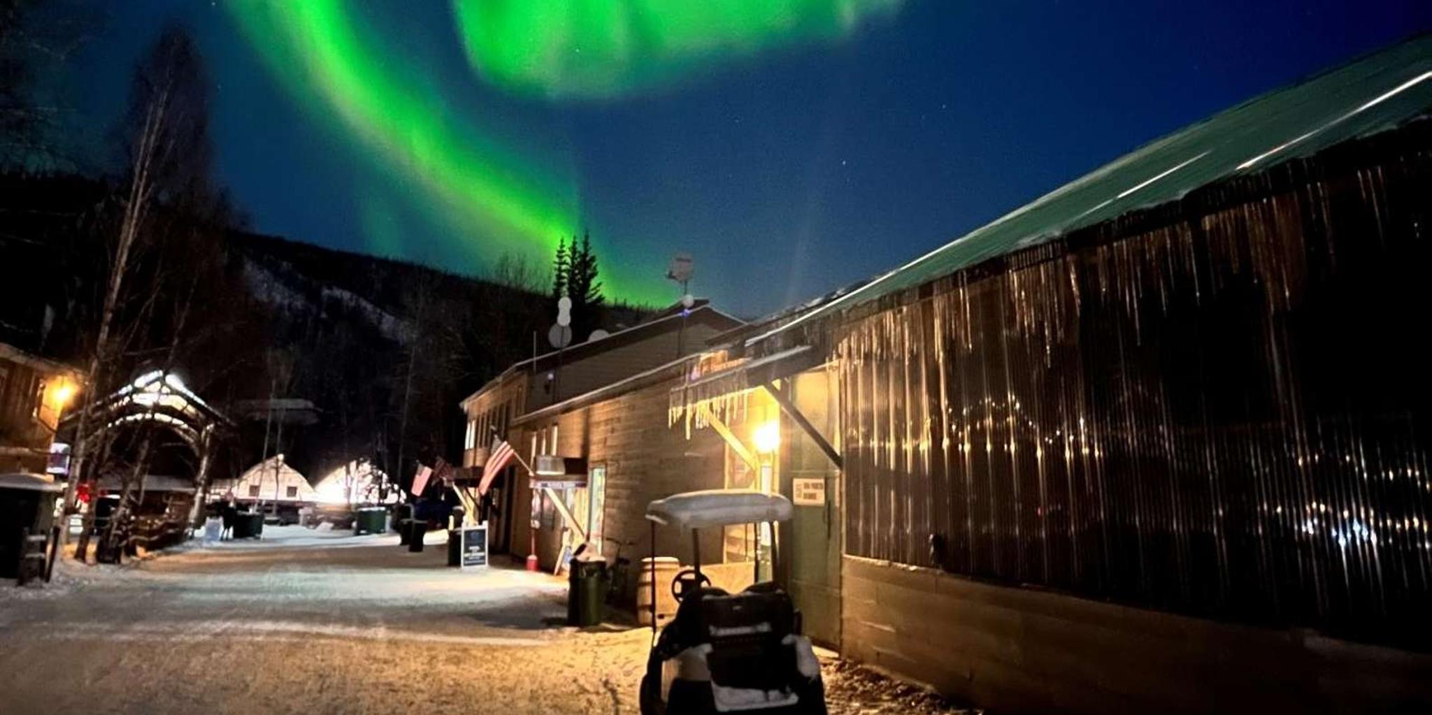 Fairbanks Northern Lights and Chena Hot Springs Tour - Image 6