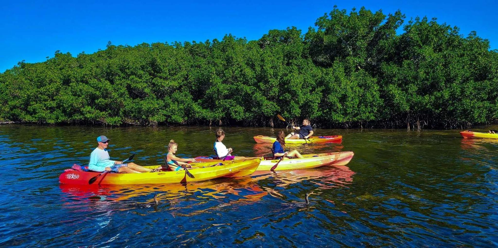 Sarasota Kayak Rental at Turtle Beach - Image 2