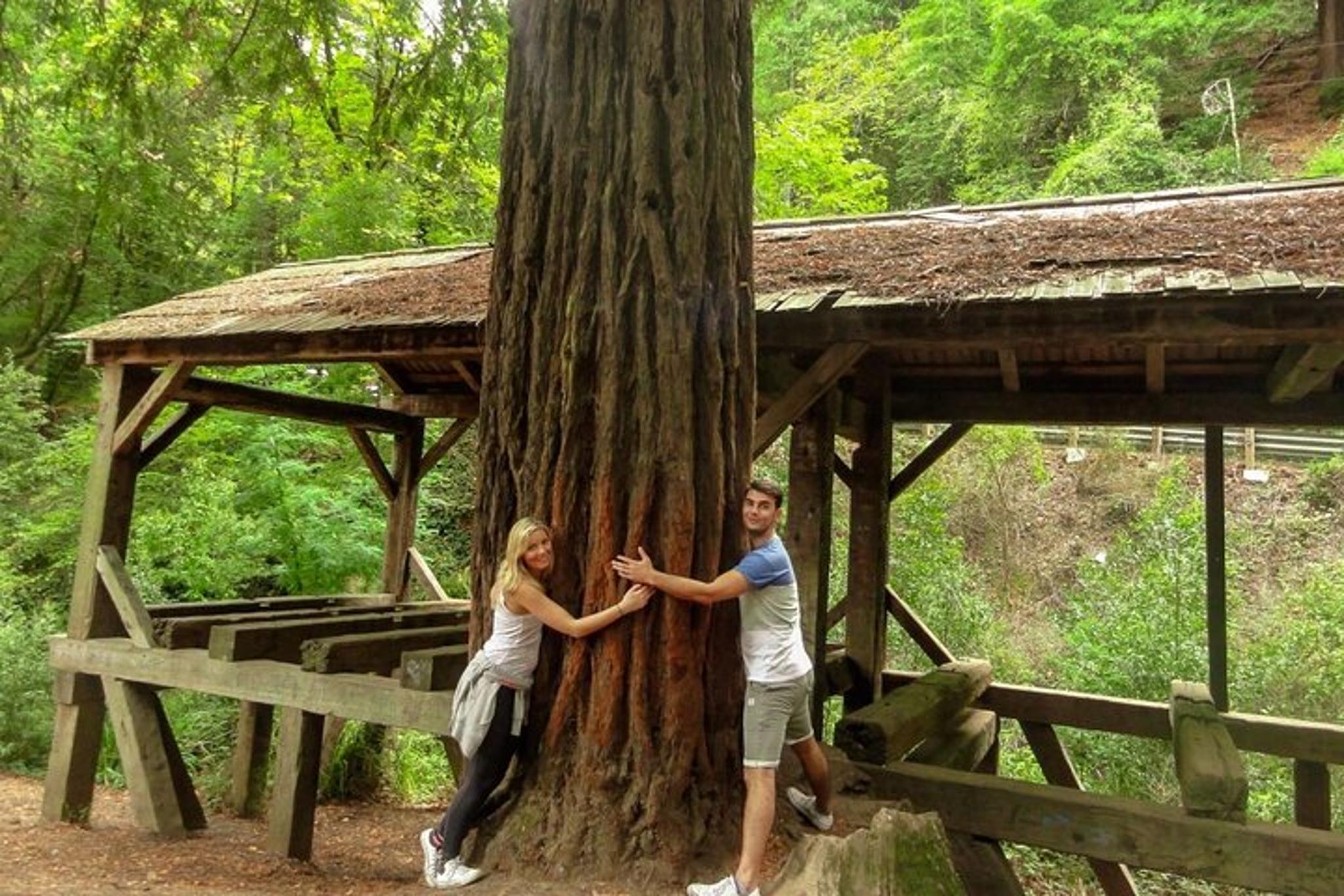 San Francisco Muir Woods Car Tour - Image 2