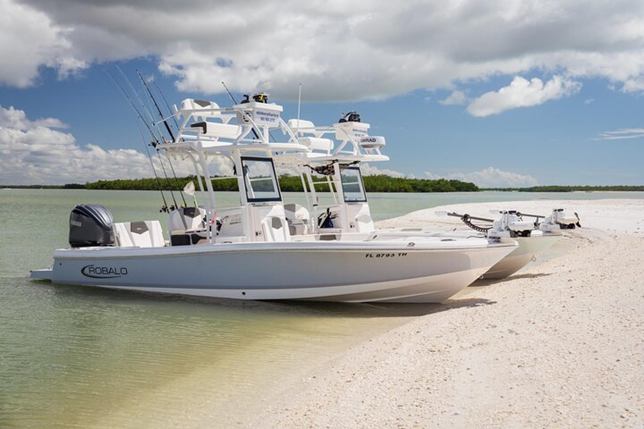 Marco Island Dolphin & Eco Tour 2 Hr - Image 6