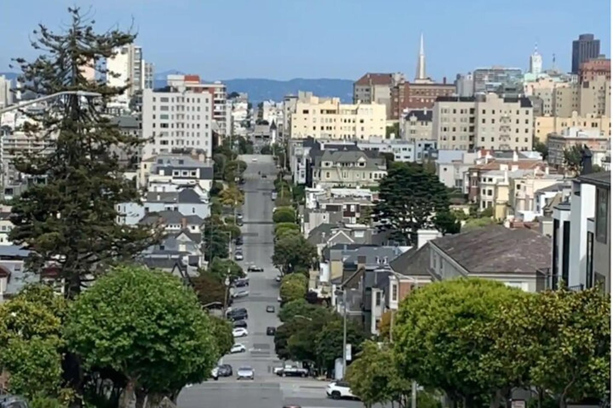 San Francisco Walking Tour of Billionaire Row and Palace of Fine Arts - Image 4