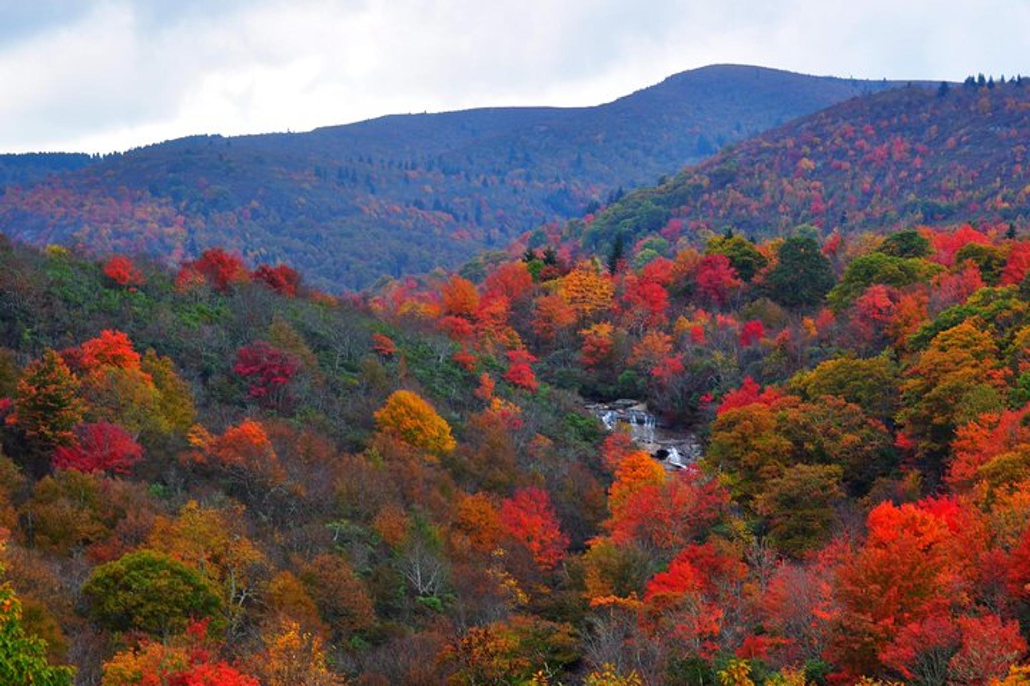 Asheville Waterfalls and Highlands Tour - Image 6