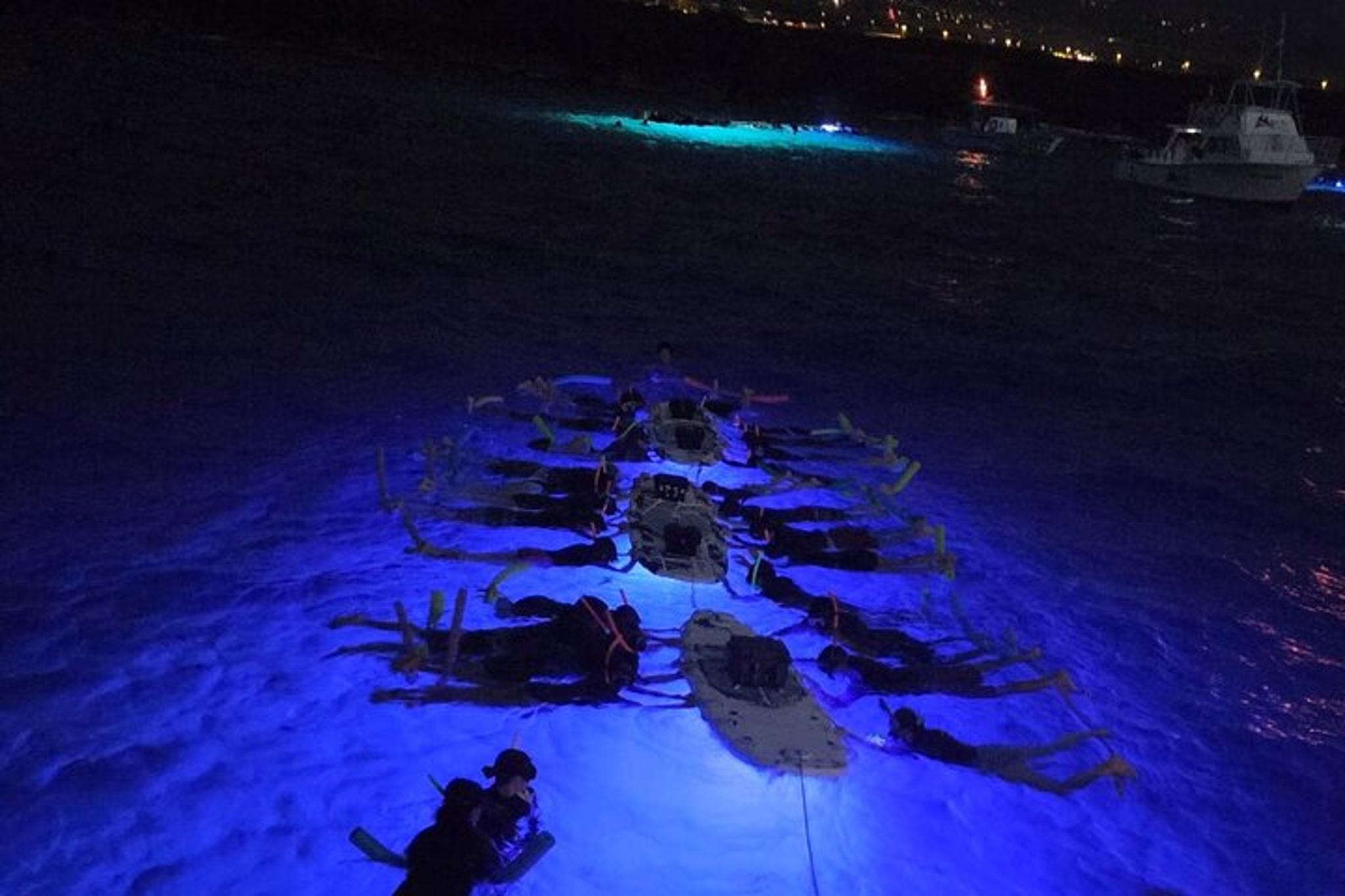 Kona Night Snorkeling with Manta Rays - Image 4
