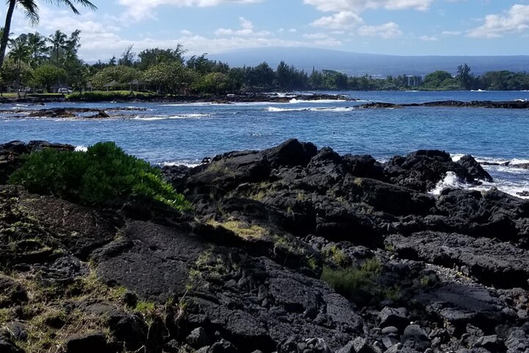 Hilo & Kona Private Tour - Image 3