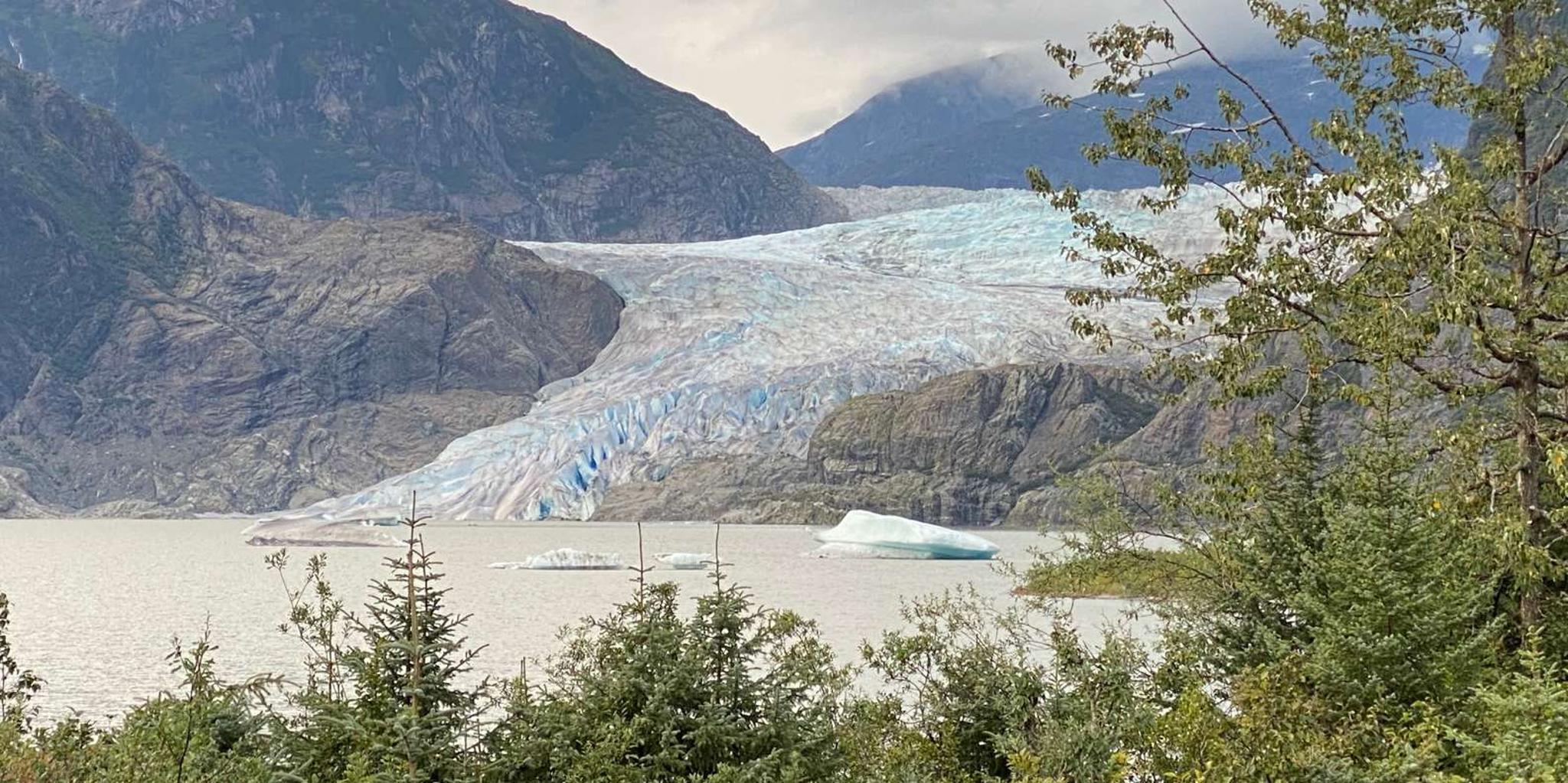 Juneau Mendenhall Glacier and Whale Watching Tour