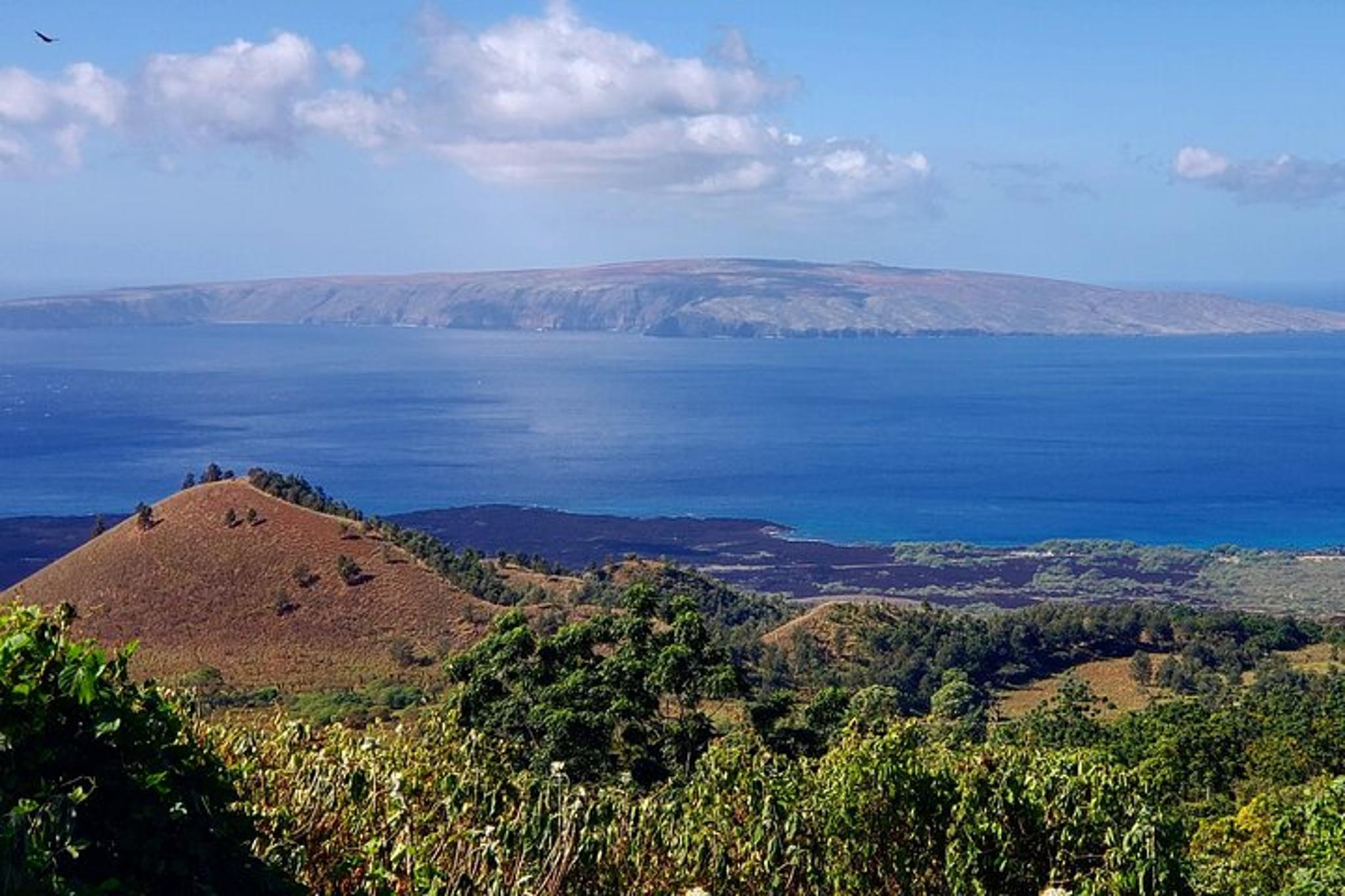 Maui Redwood Hiking Experience - Image 6