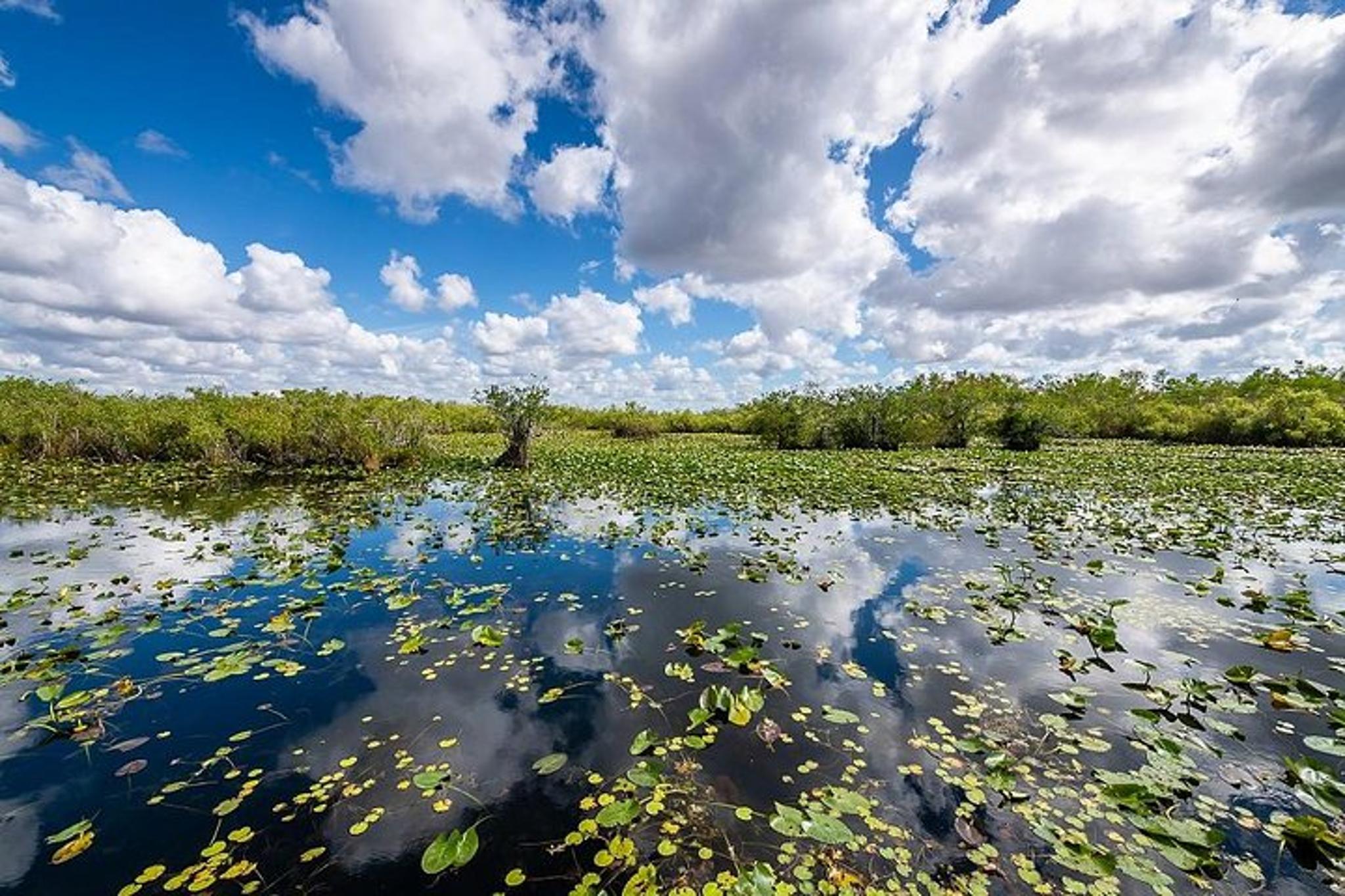 Miami Everglades Airboat Tour - Image 5