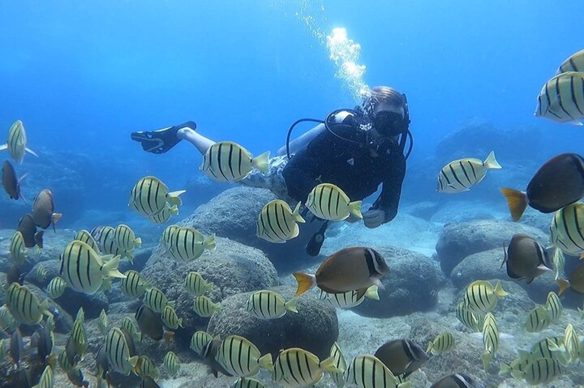 Honolulu Scuba Diving Experience with Video Package