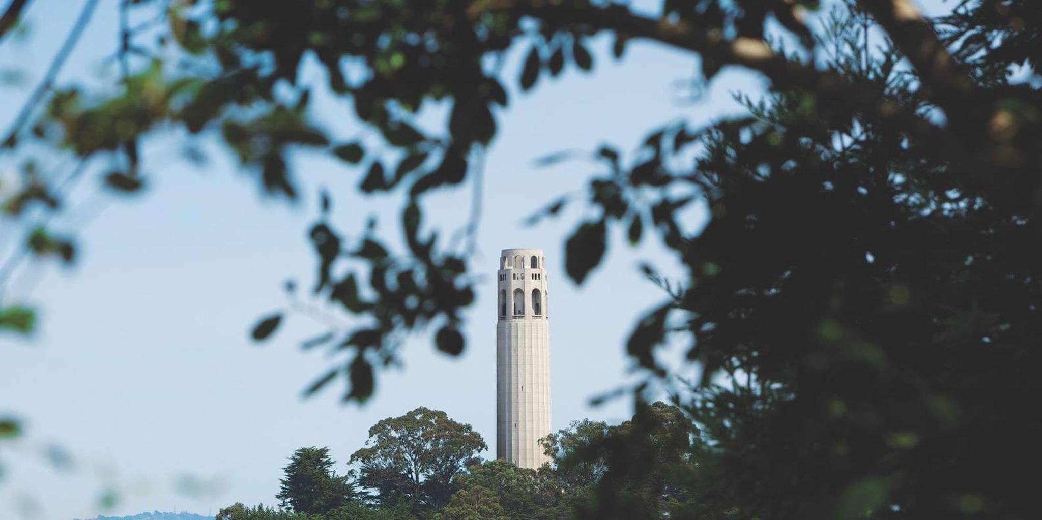 San Francisco Coit Tower and Little Italy Walking Tour - Image 6