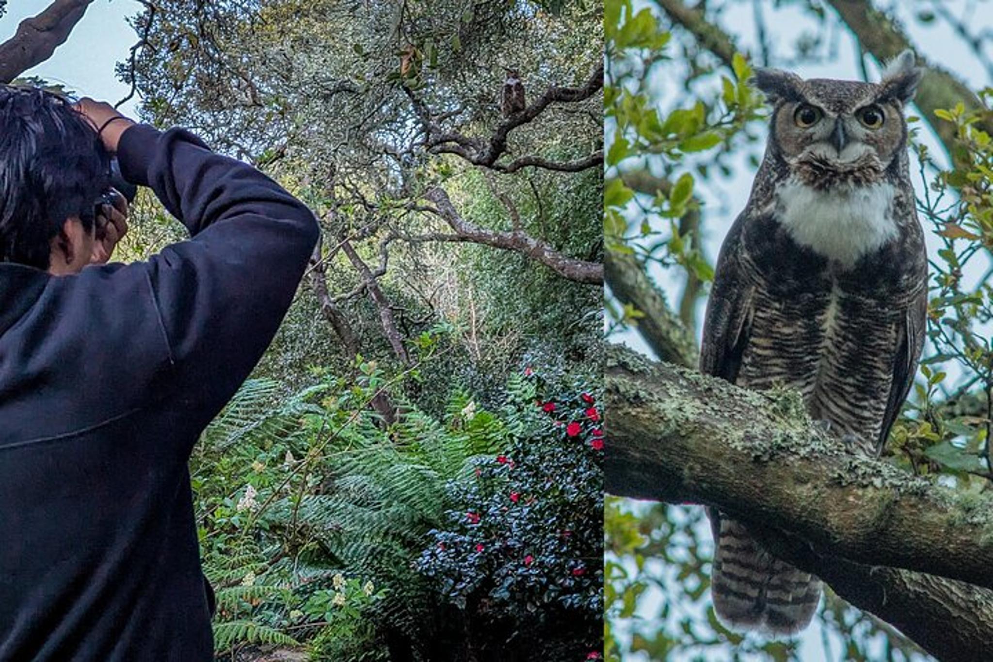 San Francisco Wildlife Walking Tour at Twilight