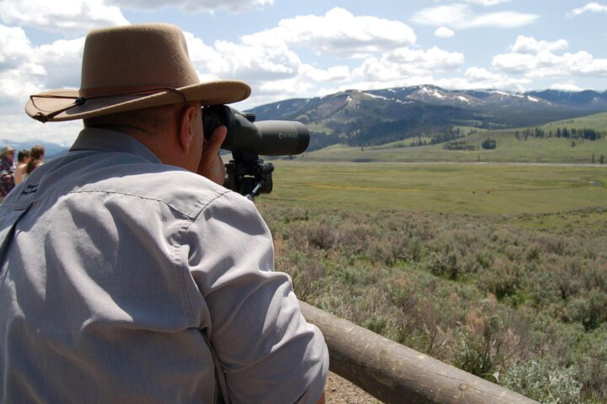 Yellowstone Upper Loop Tour - Image 2