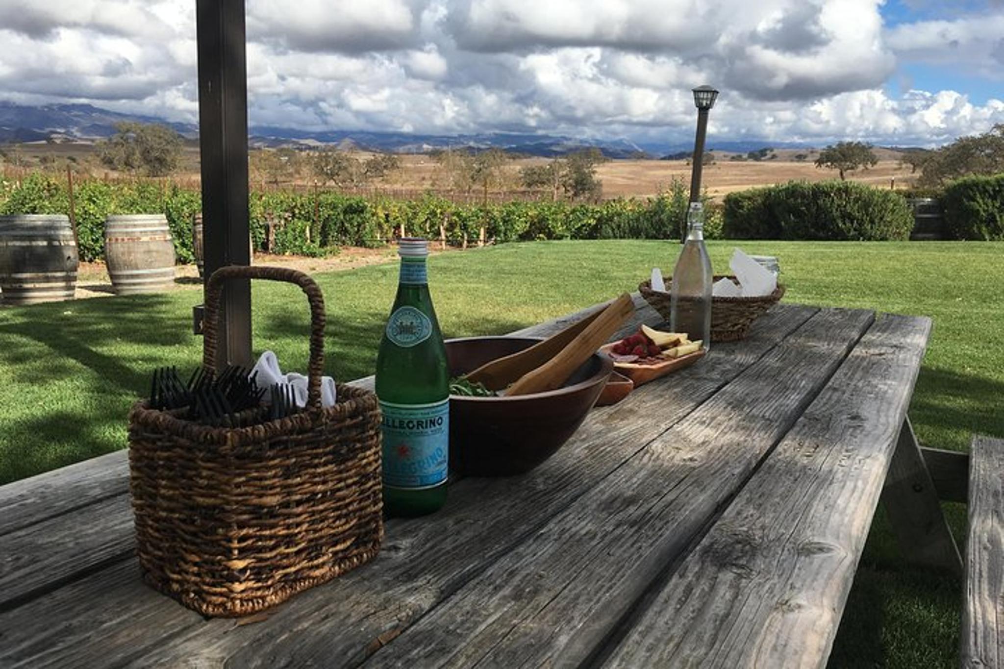 Santa Ynez Valley Biking and Wine Tasting Tour - Image 4