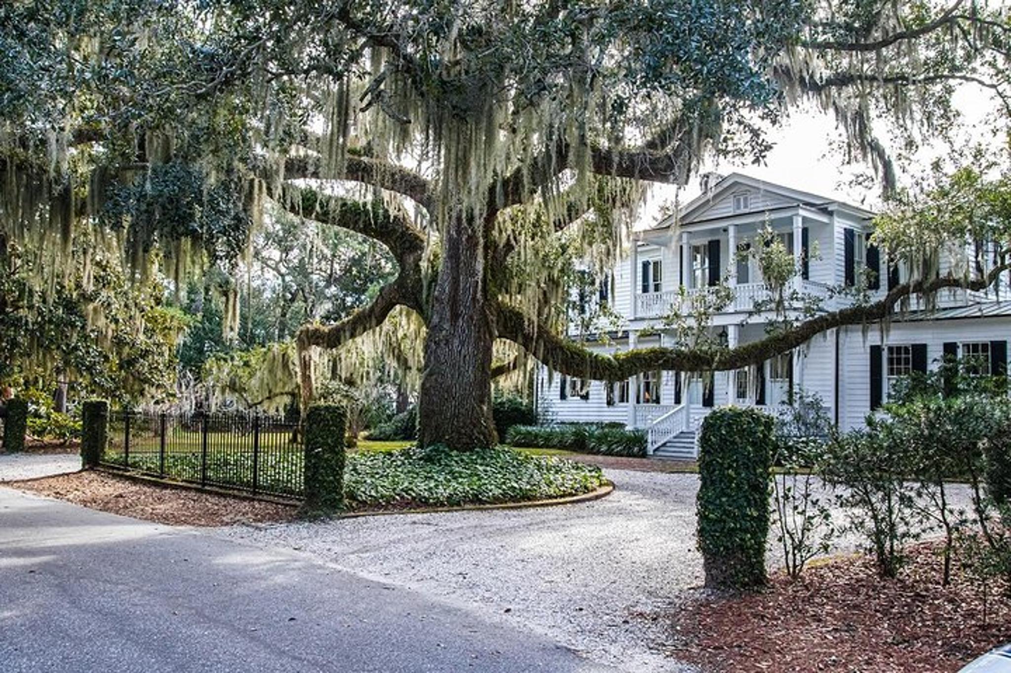 Beaufort City Minibus Tour 75 min - Image 5