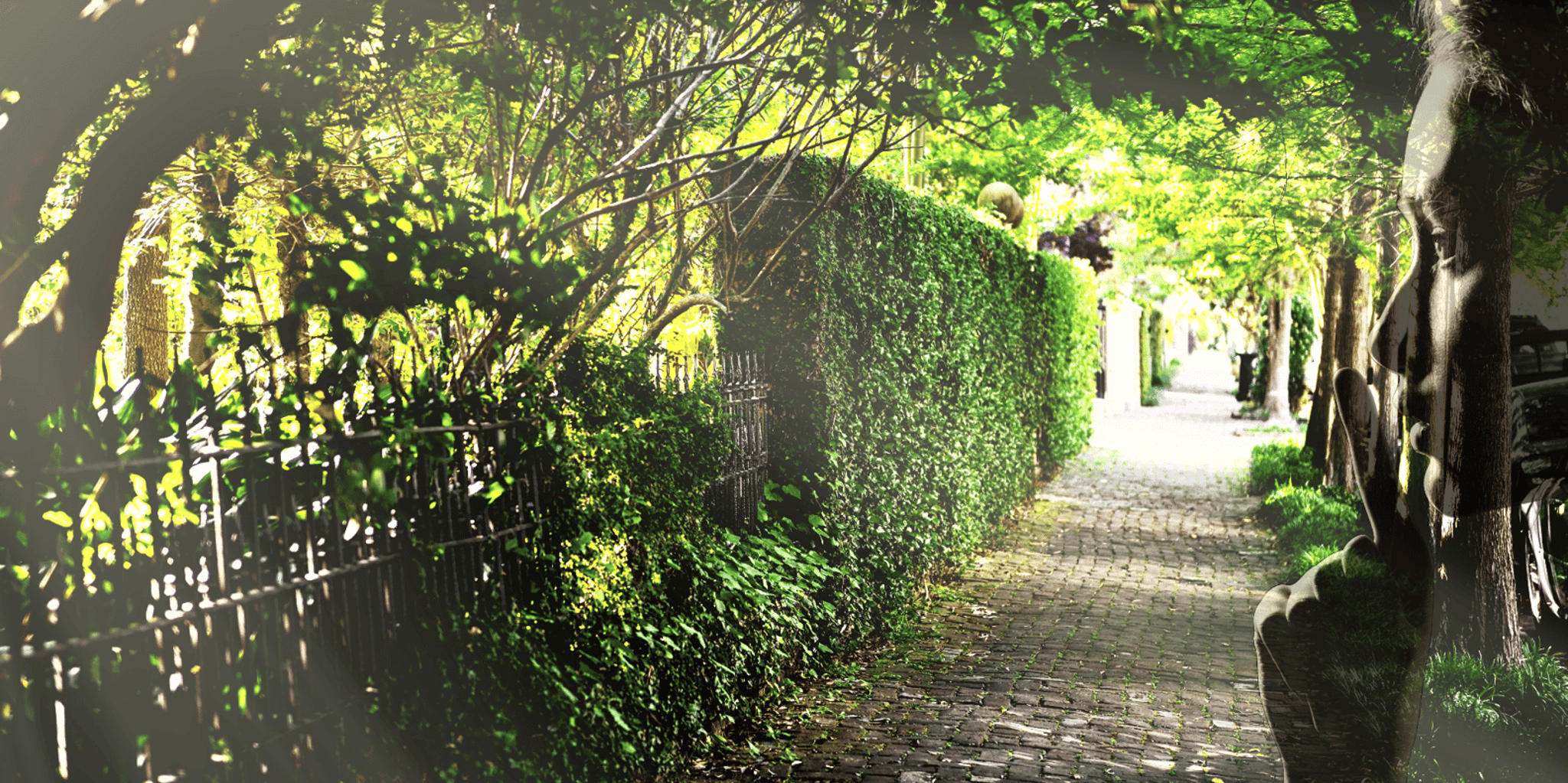 New Orleans Garden District Walking Tour - Image 2