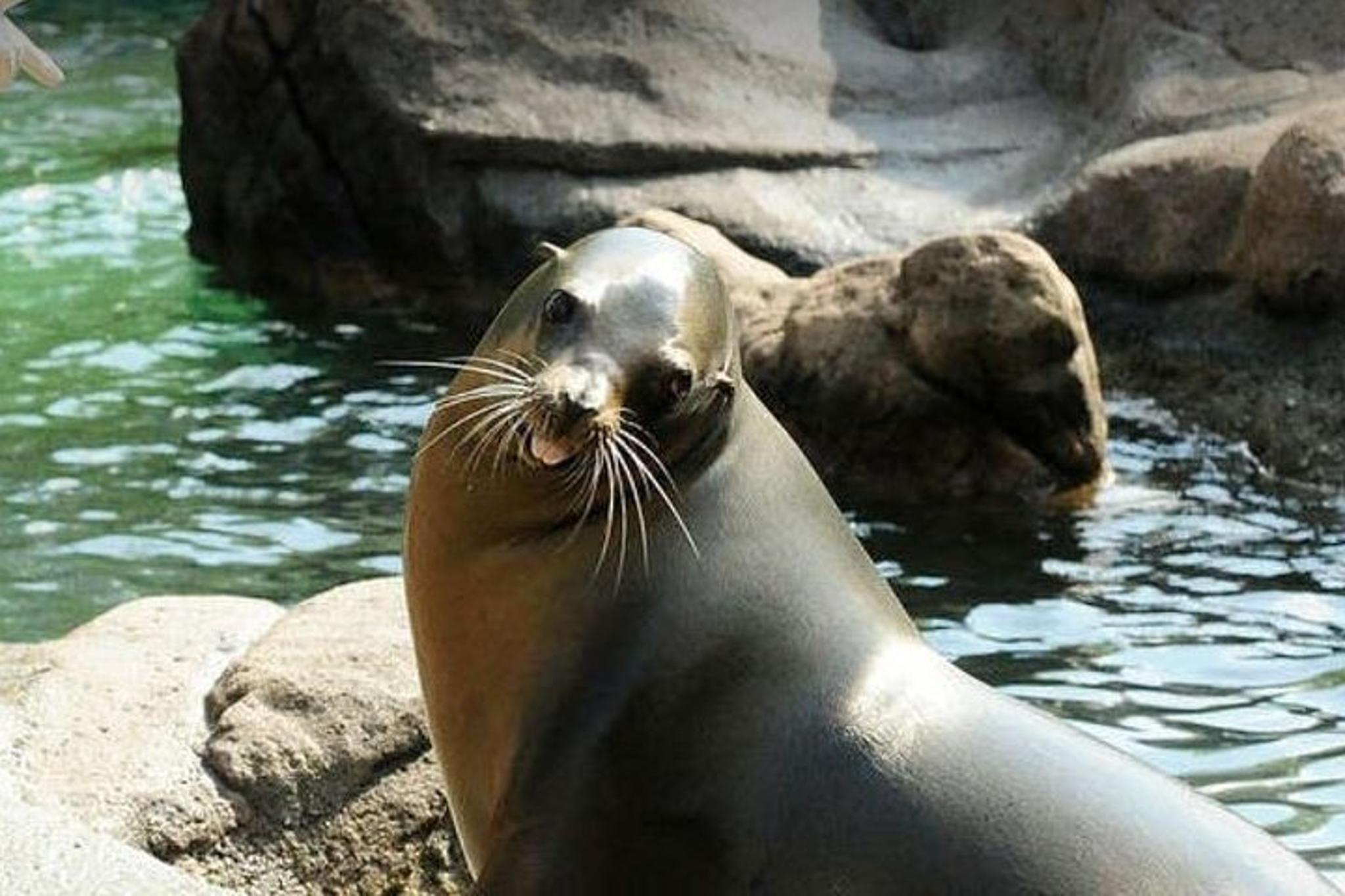 Bronx Zoo Admission Ticket - Image 6