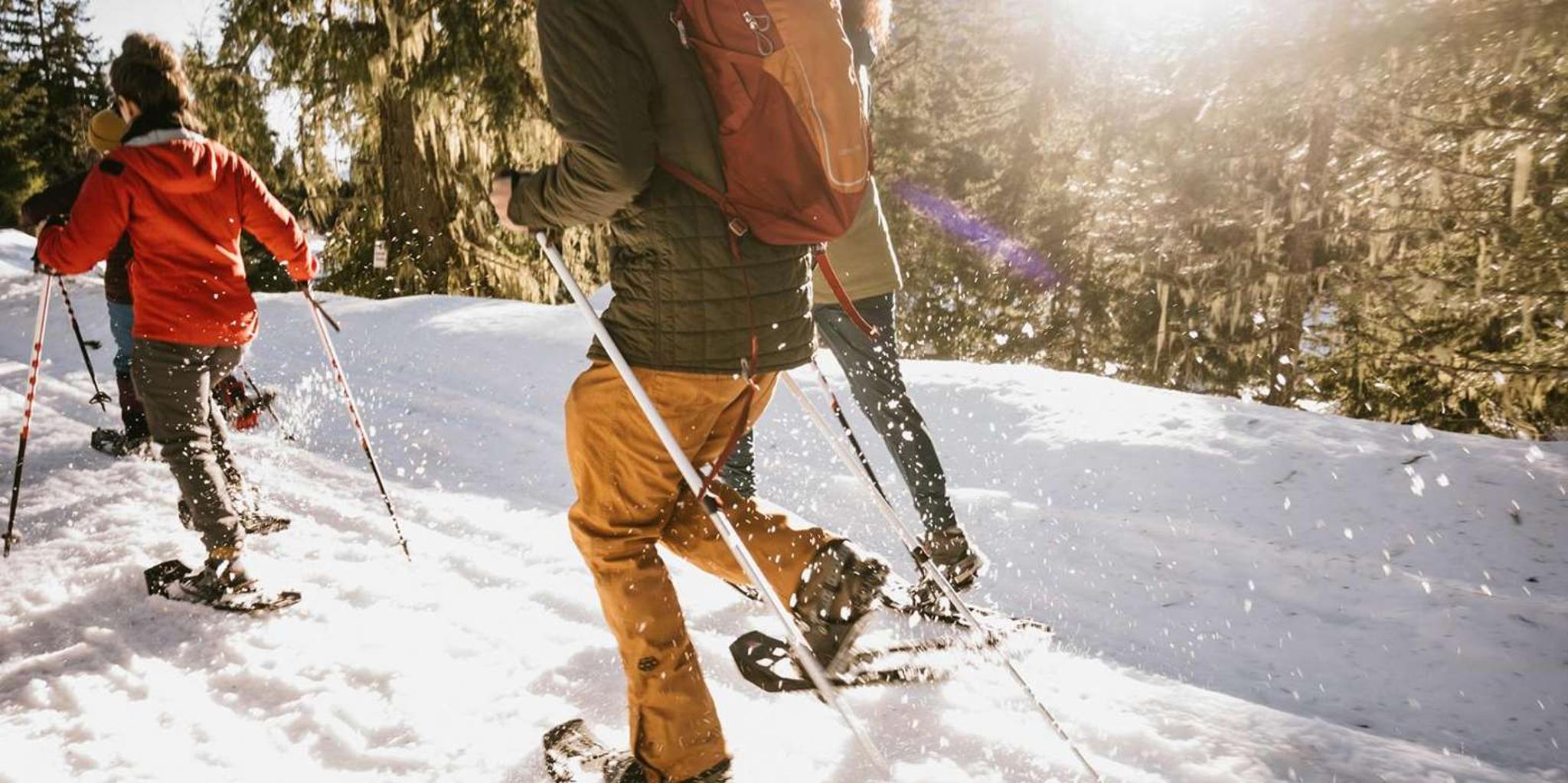 Seattle Longmire Winter Day Tour on Mount Rainier