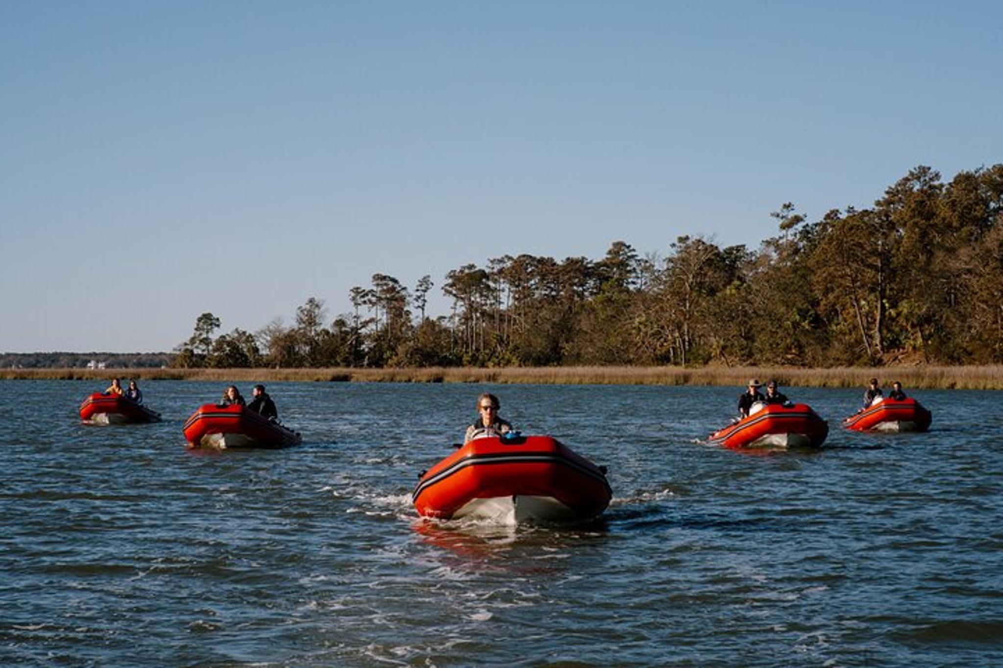 Hilton Head Mini Boat Tour to Disappearing Island - Image 2