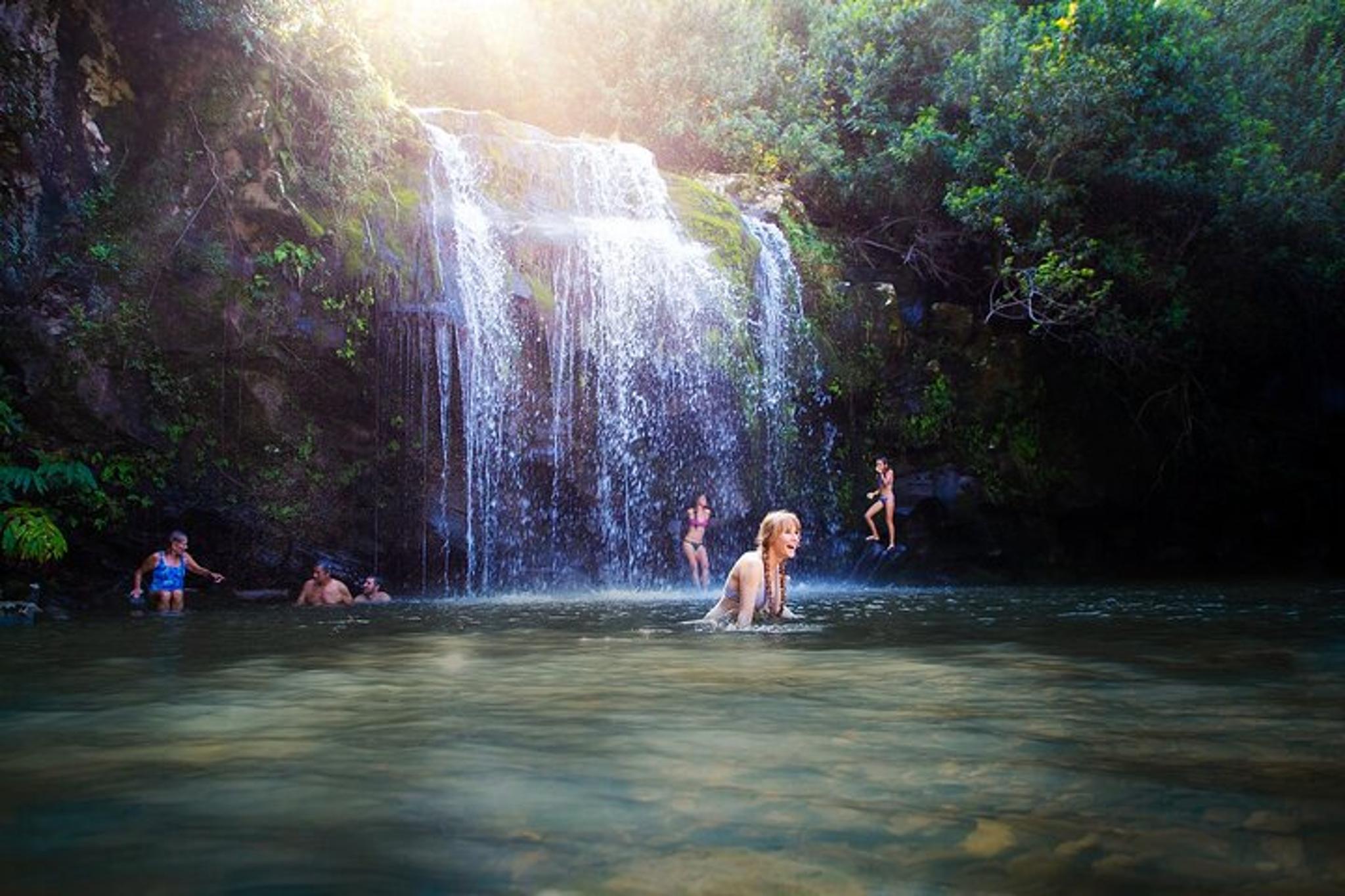 Kohala Waterfalls Adventure - Image 2