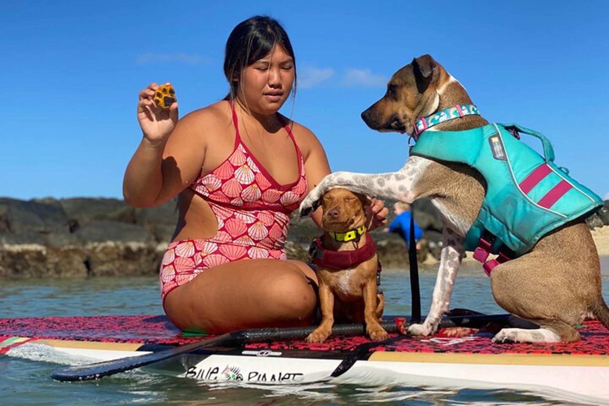 Honolulu Paddle Board with Rescue Dogs 90 min - Image 5