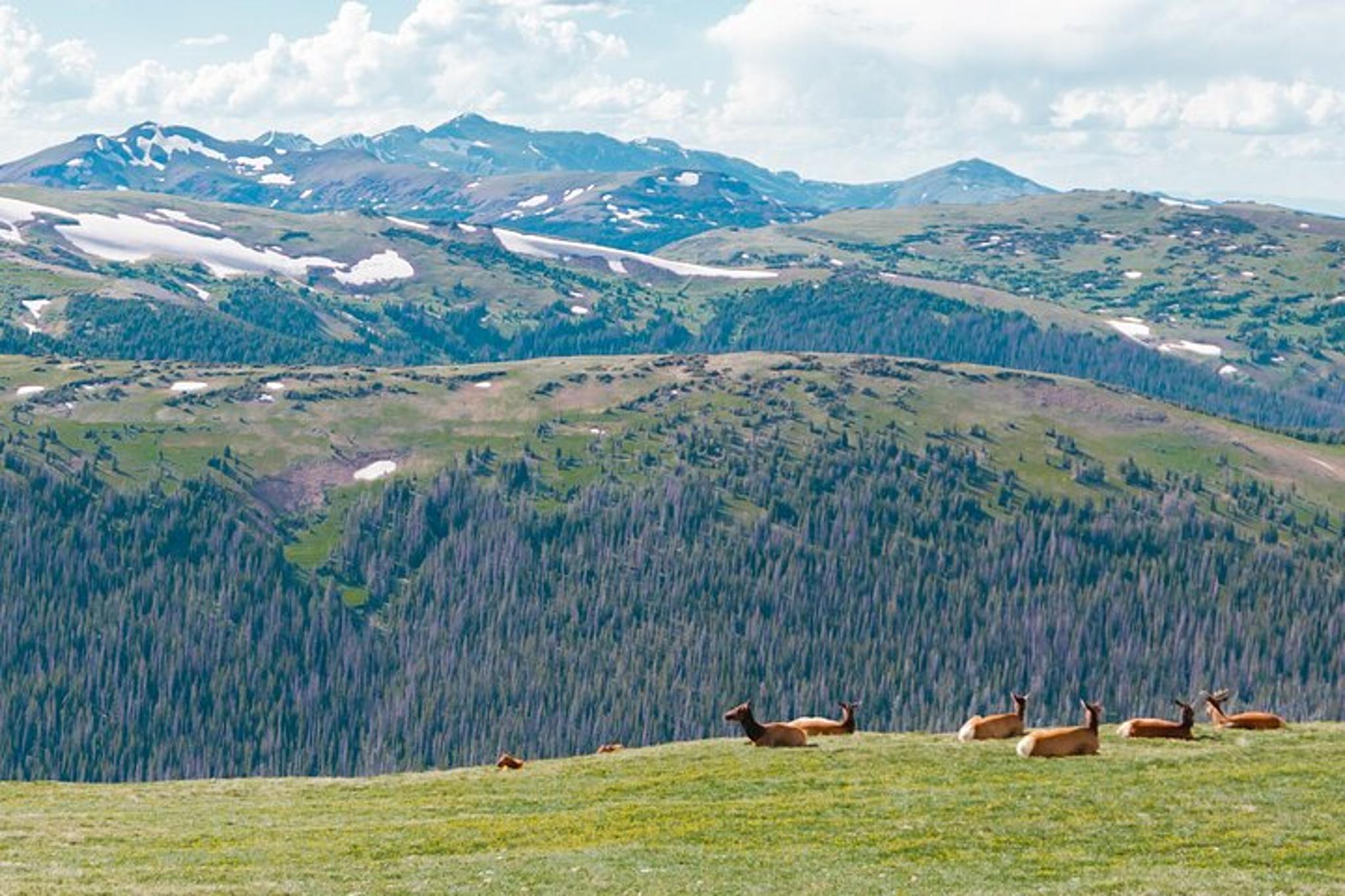 Estes Park Rocky Mountain National Park Driving Tour - Image 2