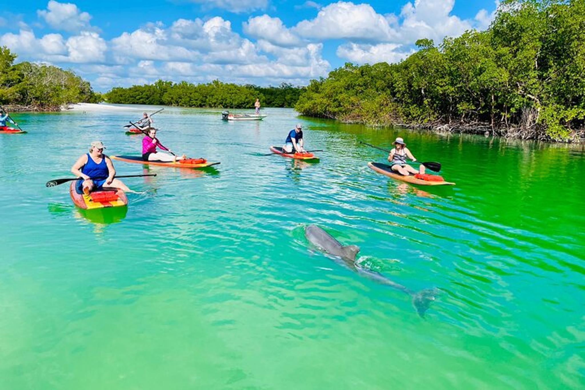 Fort Myers Dolphin and Manatee Adventure Tour 2 hr