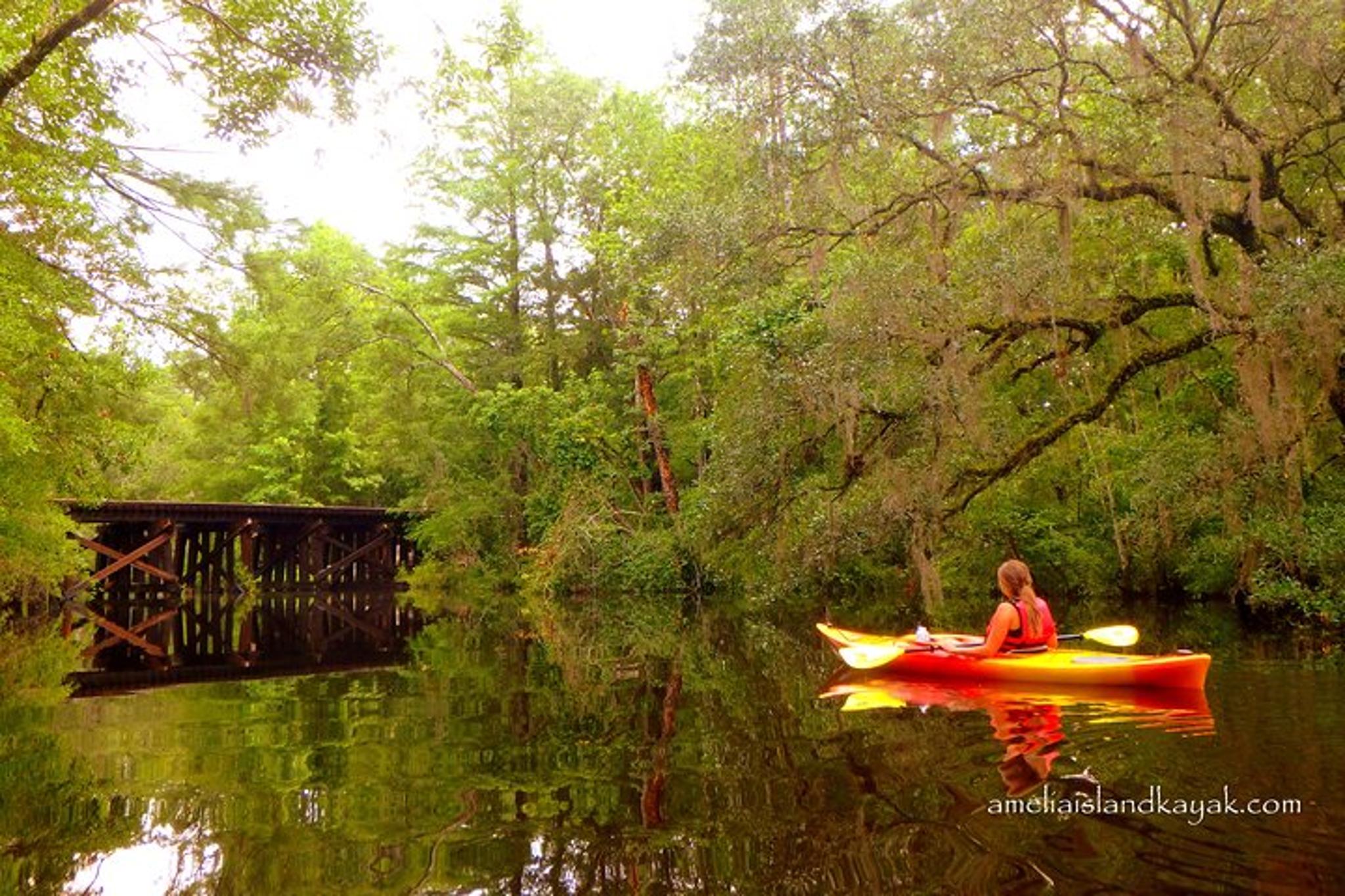 Amelia Island Kayak Rental Experience - Image 3