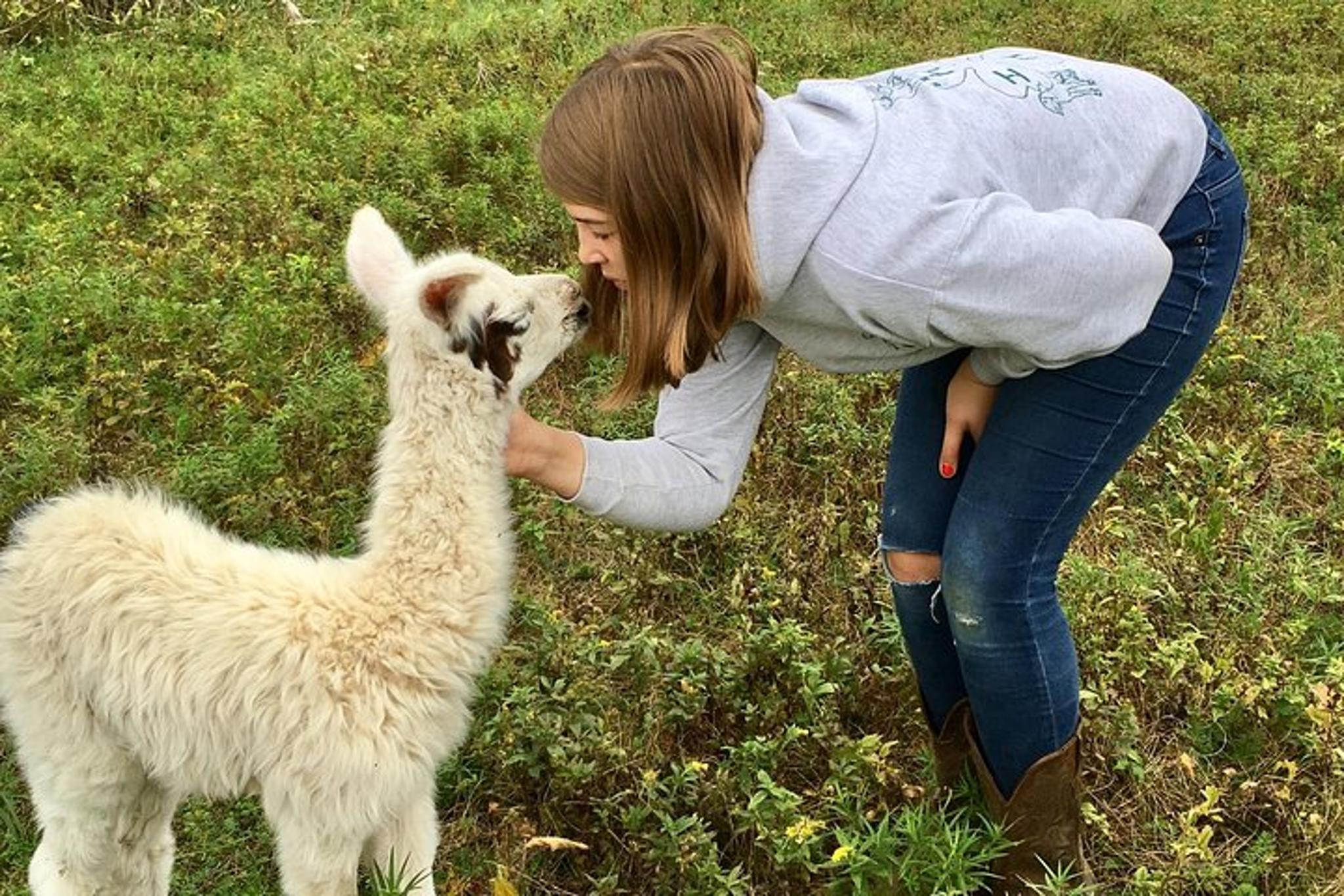 Hudson Valley Llama/Alpaca Hike and Farm Tour 90 min