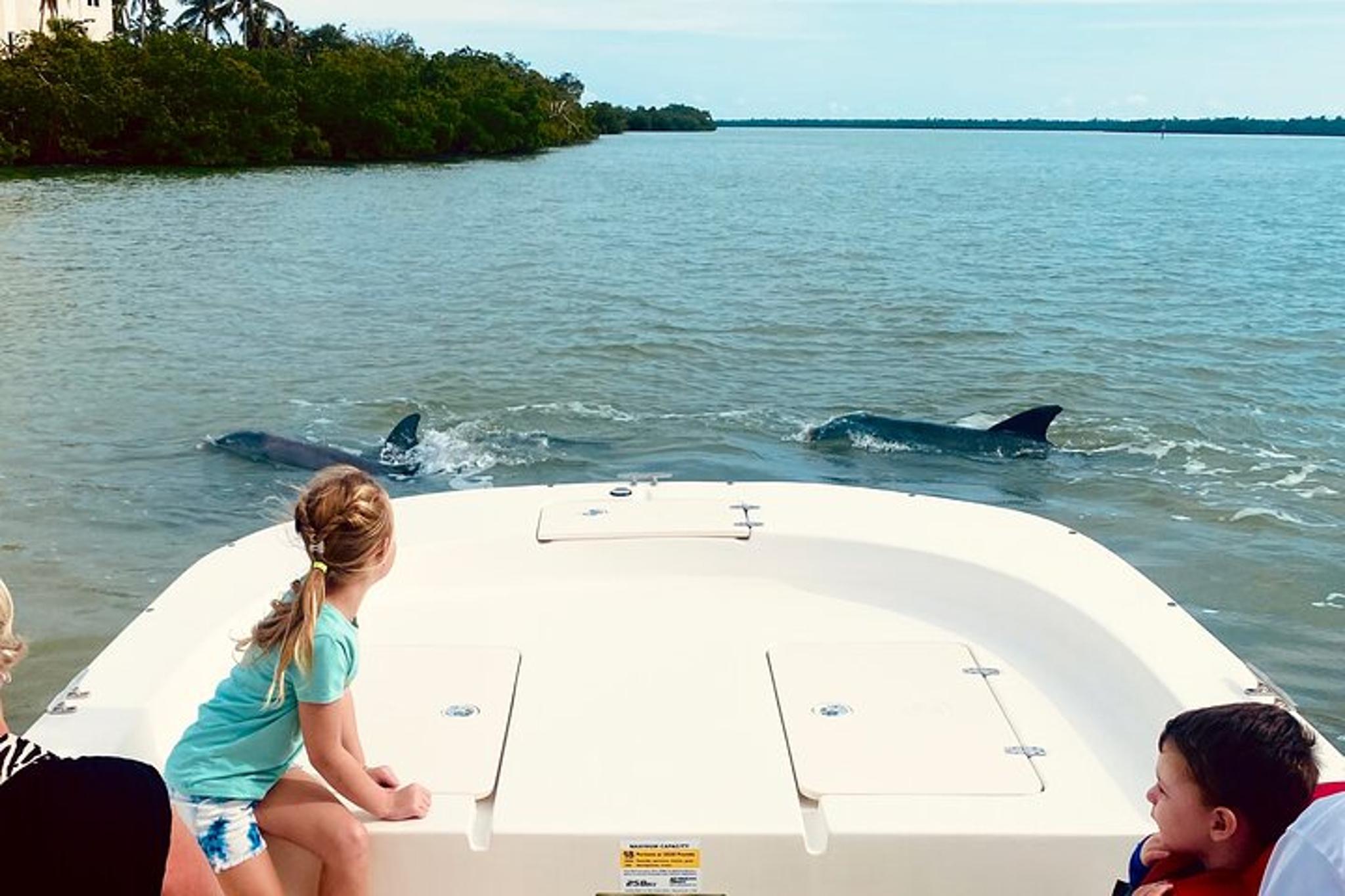 Marco Island and 10,000 Islands Dolphin Tour - Image 2