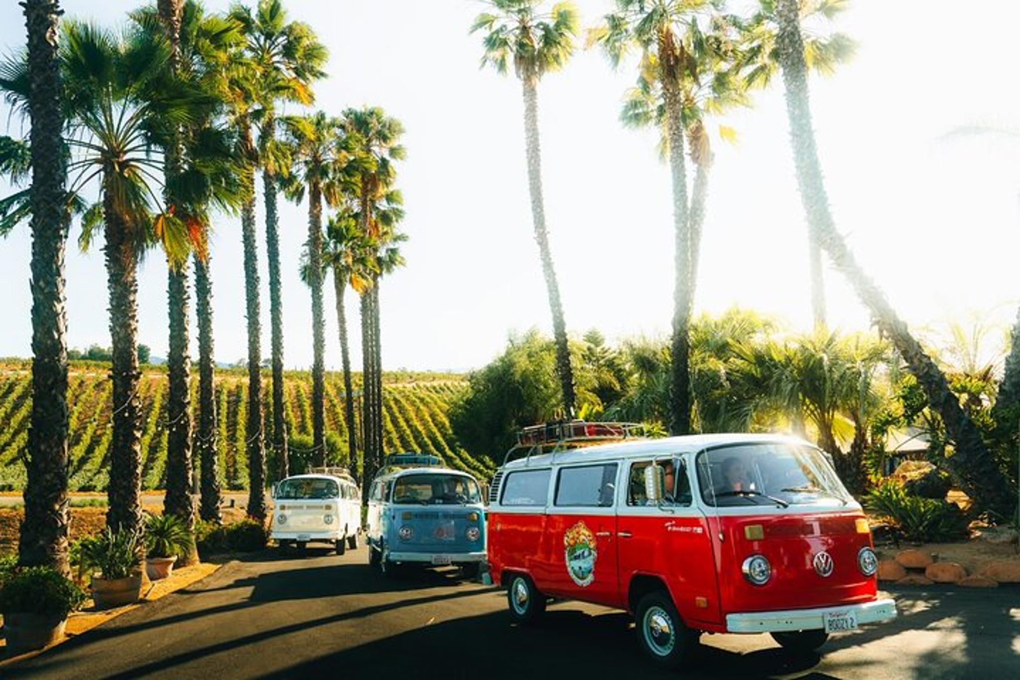 Temecula VW Bus Wine Tour - Image 2