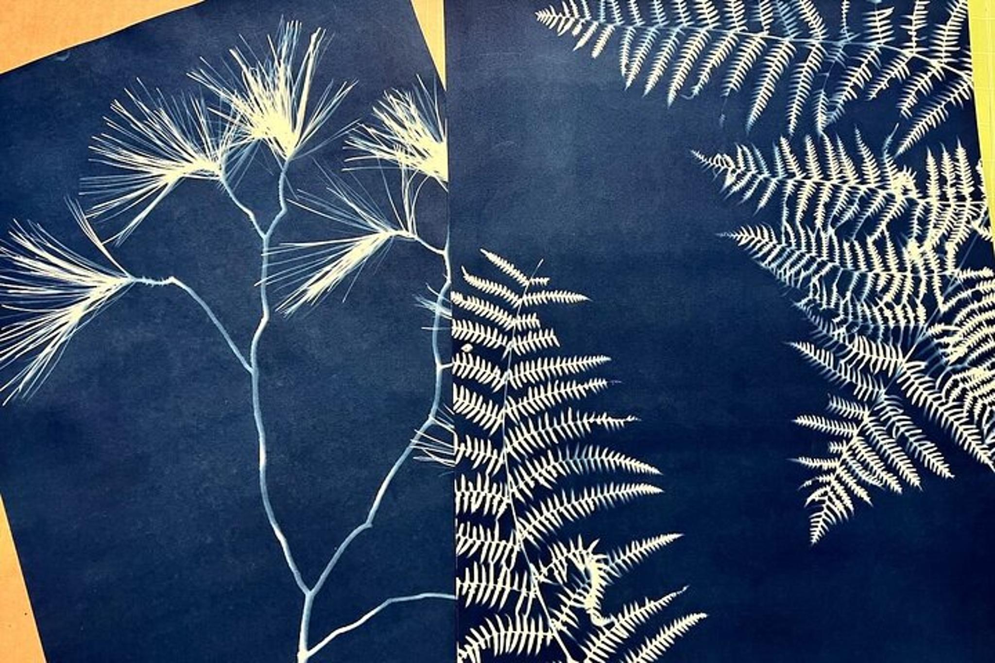 Joshua Tree Sun Print Workshop - Image 2