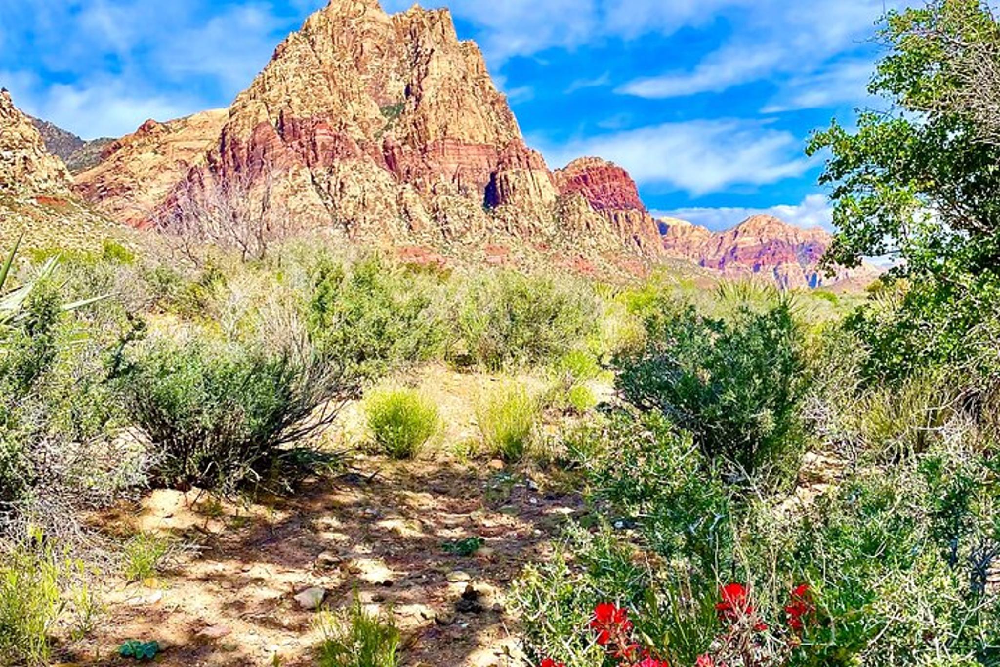 Las Vegas Red Rock Canyon Tour - Image 3
