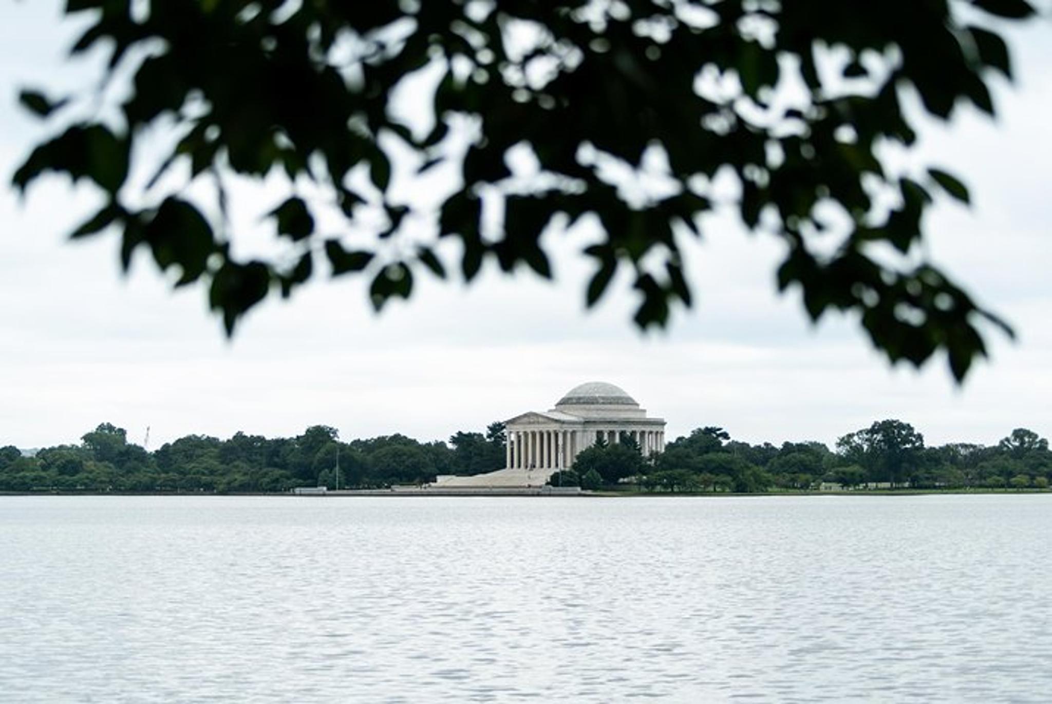 Washington DC Capitol and National Archives Tour - Image 6