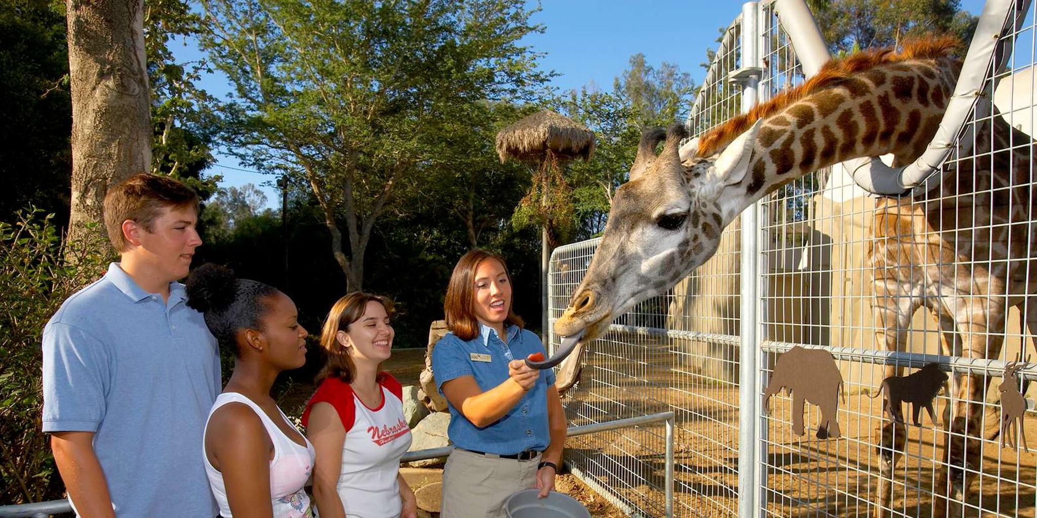San Diego Zoo Admission Ticket - Image 1