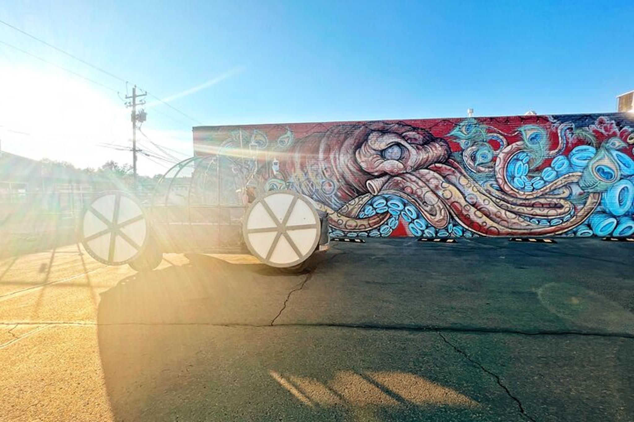 Reno Street Art Tour in Downtown - Image 4