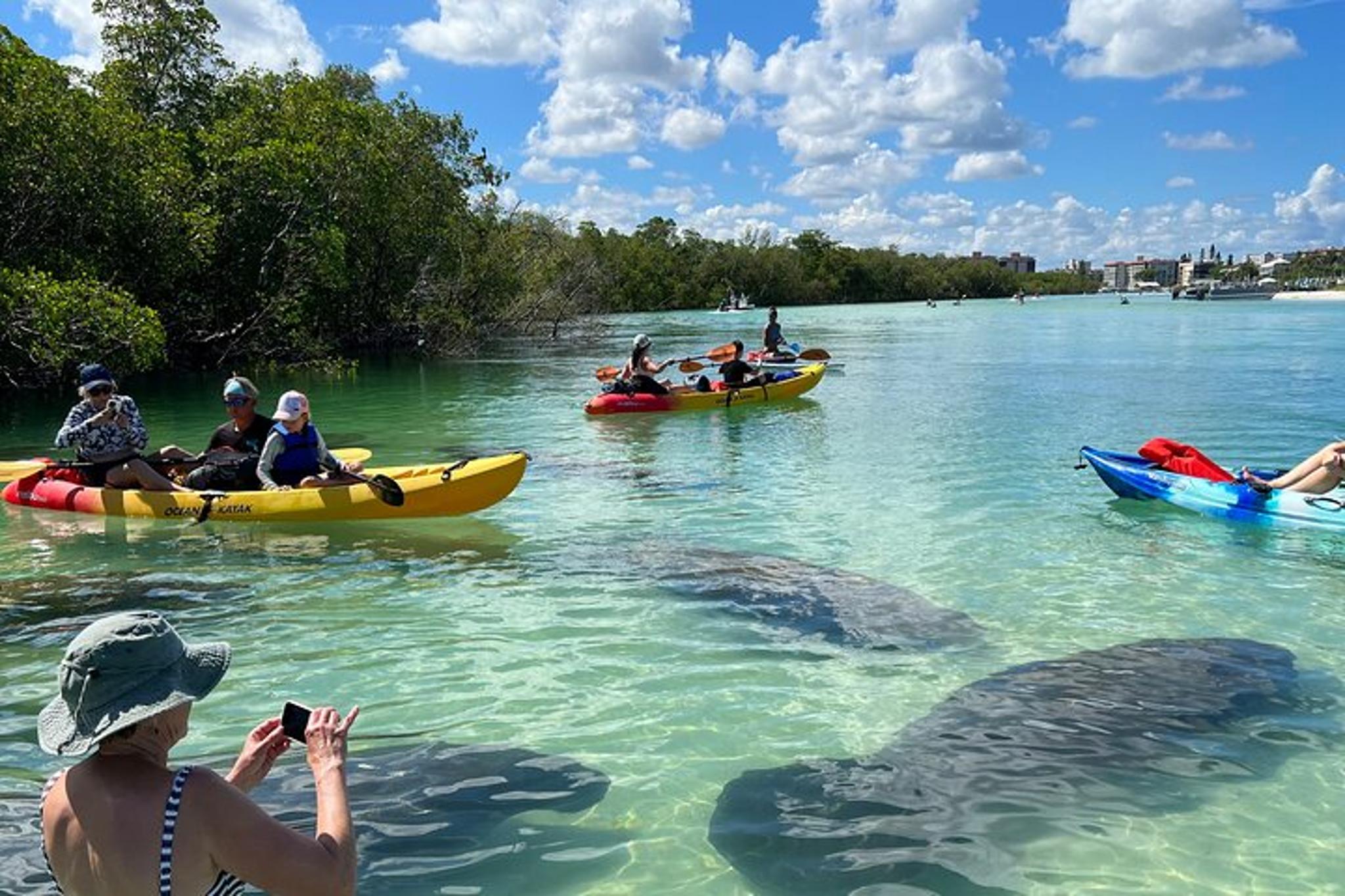 Bonita Springs EcoTour: Clear Kayak and SUP - Image 2