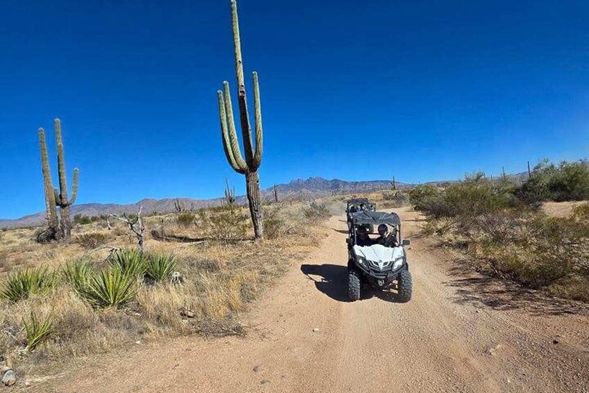 Scottsdale ATV/UTV Sand Buggy Tour - Image 5
