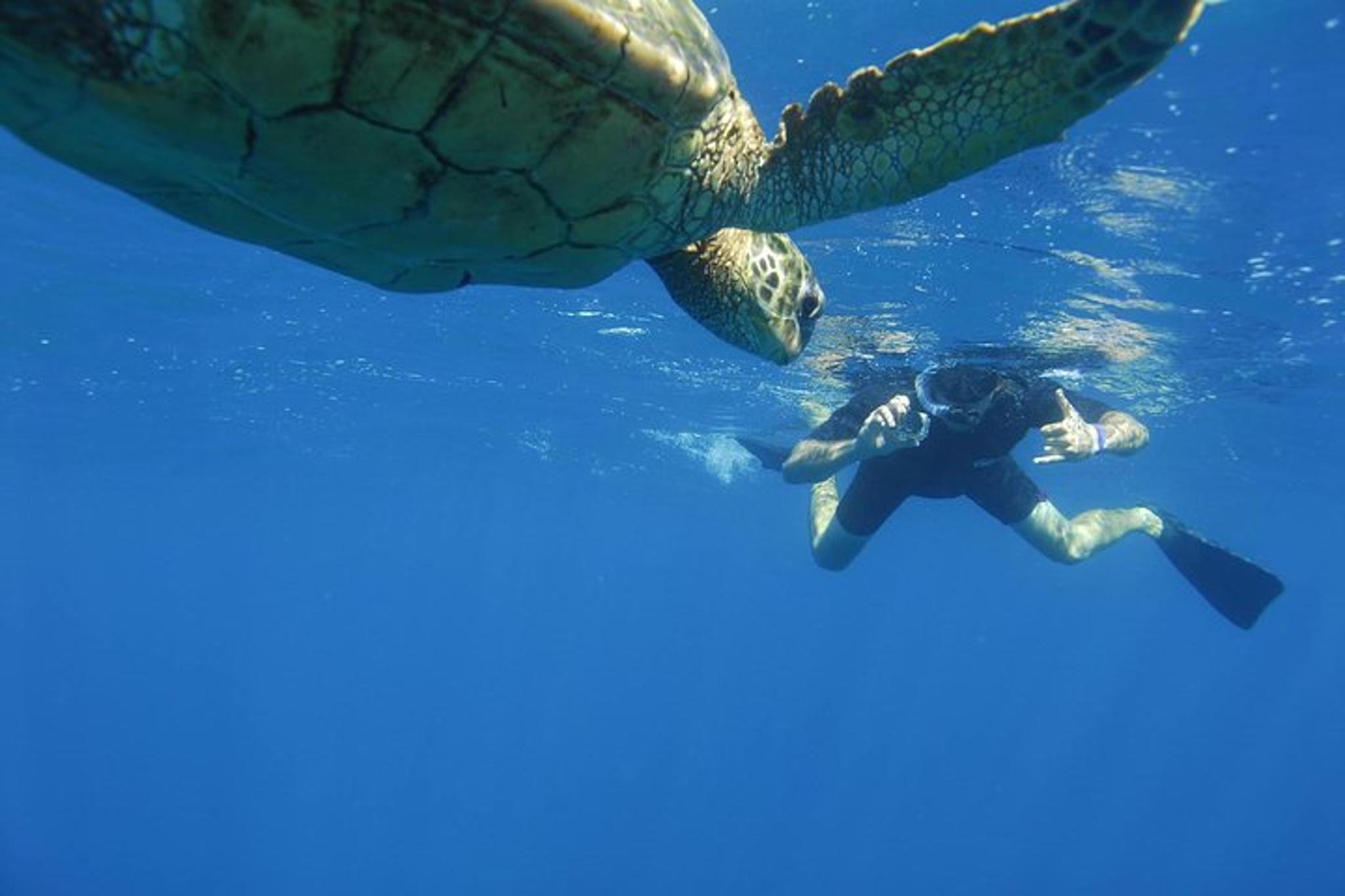 Kauai South Island Zodiac Boat Snorkel Adventure
