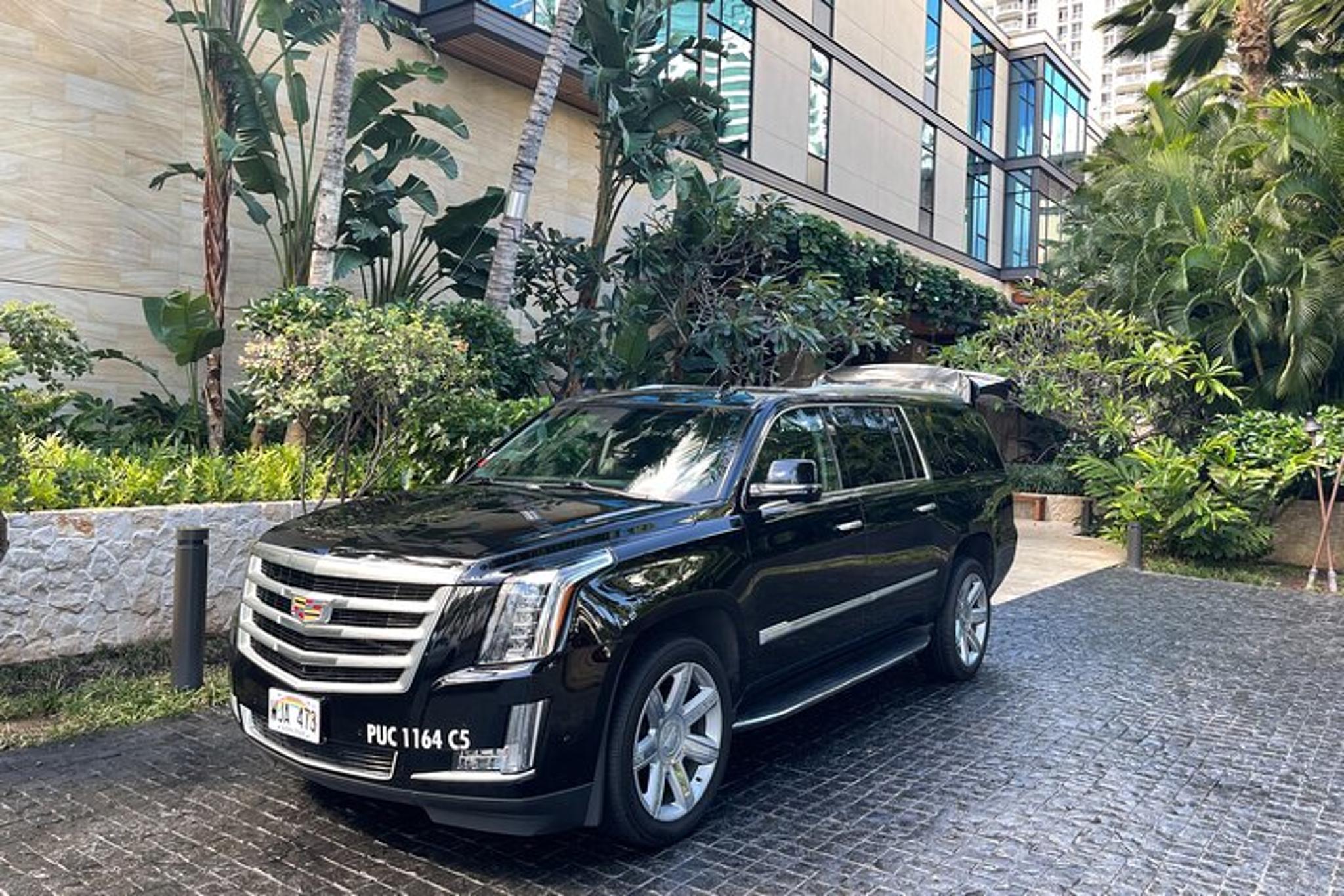 Honolulu Harbor Cruise Terminal Transfer - Image 6